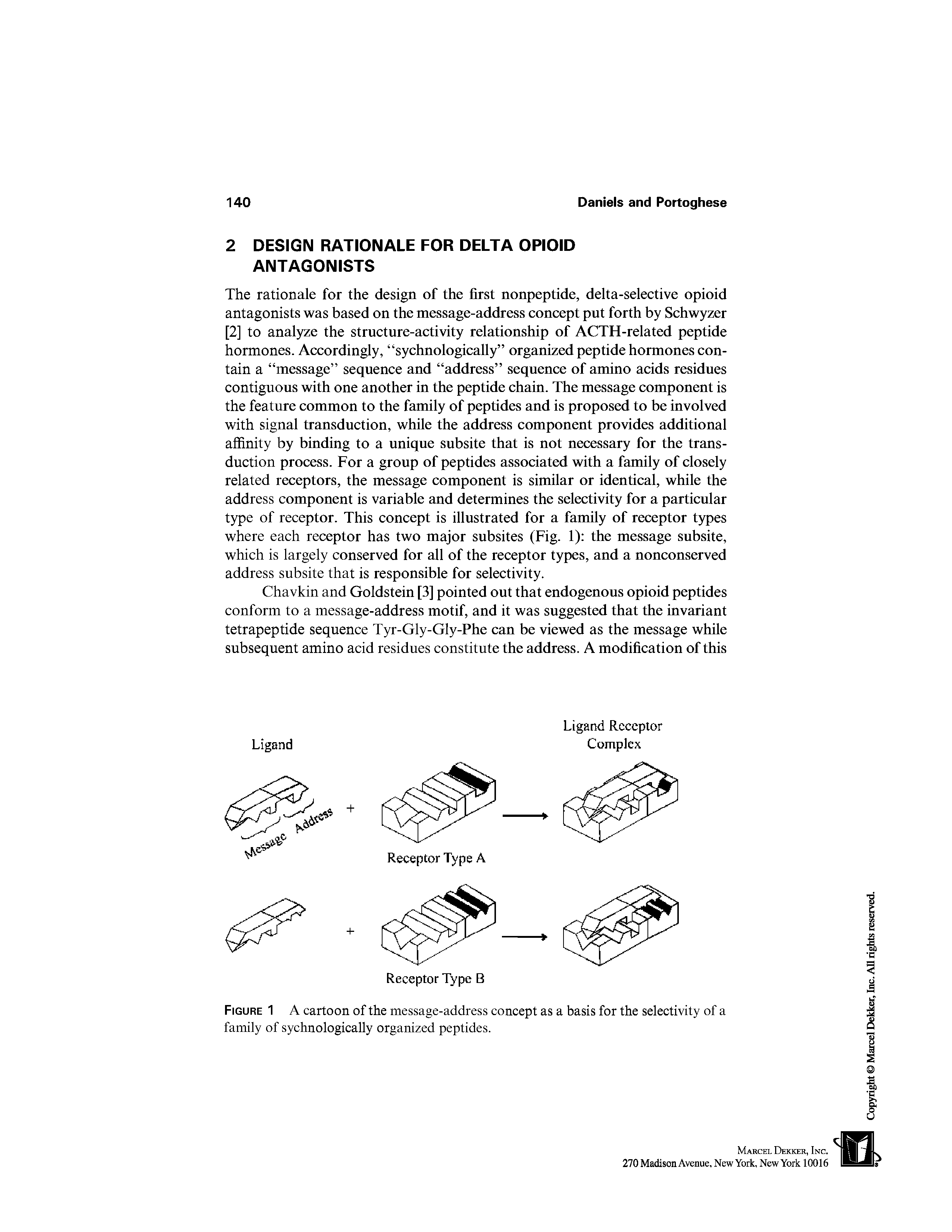 Figure 1 A cartoon of the message-address concept as a basis for the selectivity of a family of sychnologically organized peptides.