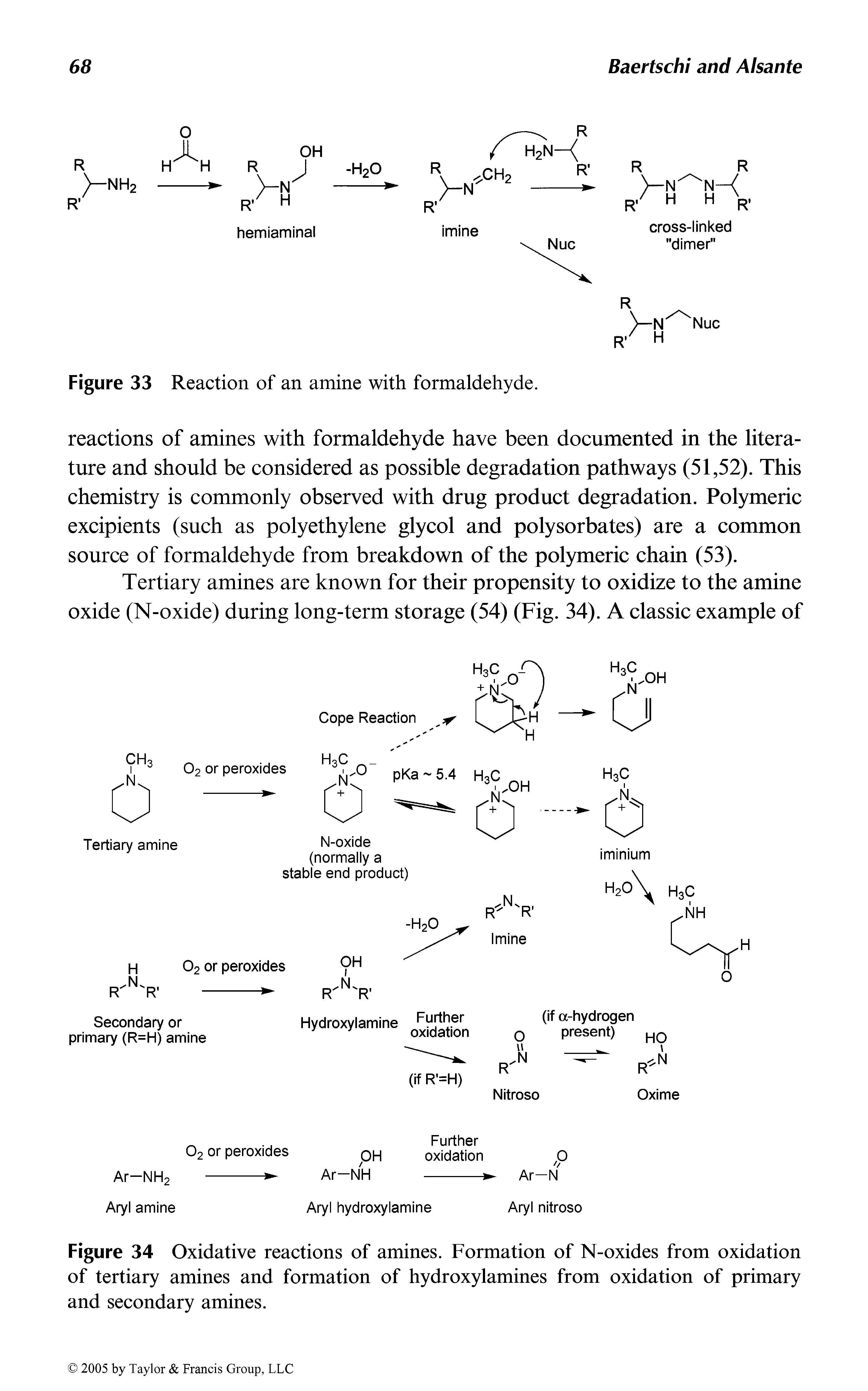 Figure 34 Oxidative reactions of amines. Formation of N-oxides from oxidation of tertiary amines and formation of hydroxylamines from oxidation of primary and secondary amines.