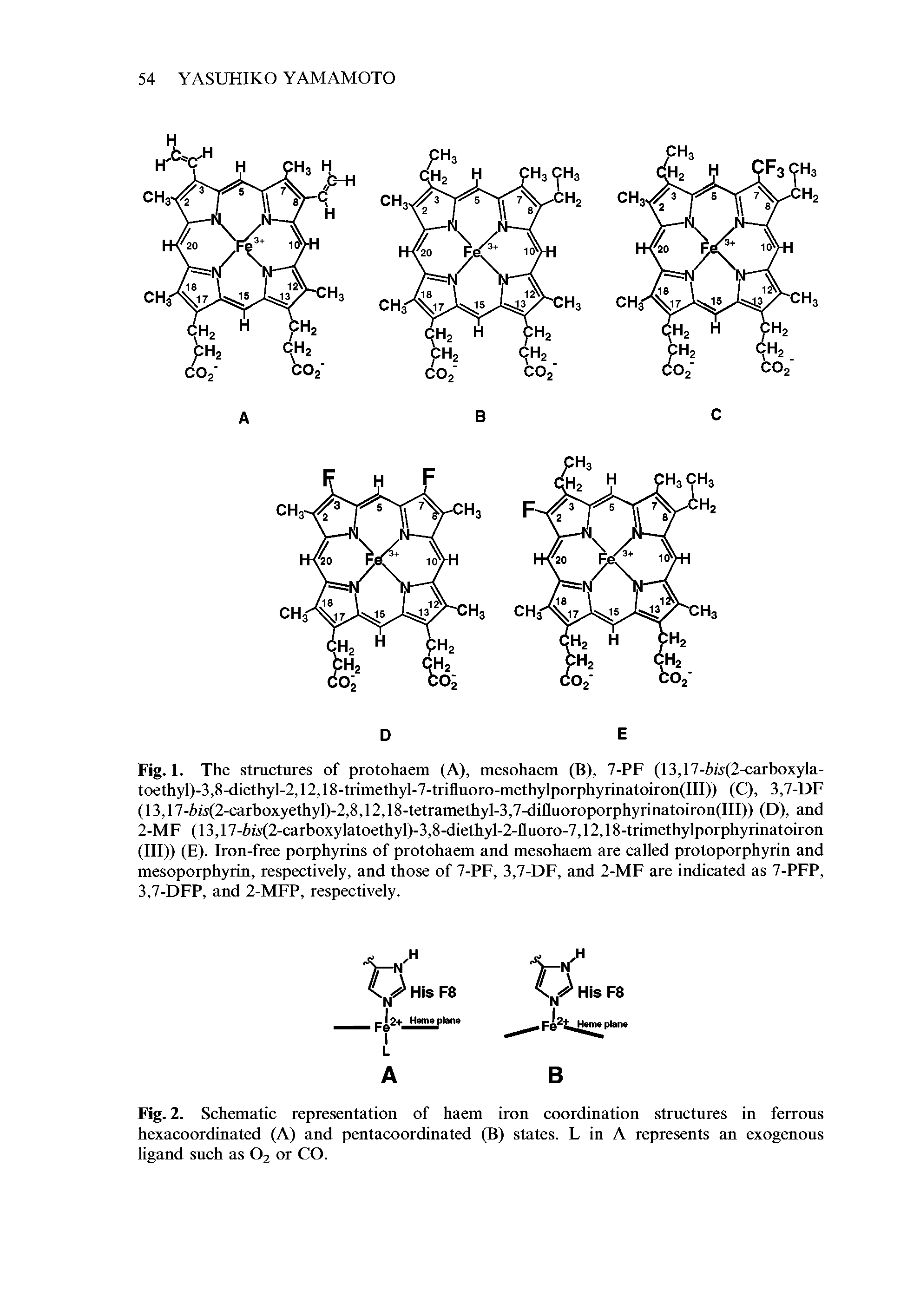 Fig. 1. The structures of protohaem (A), mesohaem (B), 7-PF (13,17-hw(2-carboxyla-toethyl)-3,8-diethyl-2,12,18-trimethyl-7-trifluoro-methylporphyrinatoiron(III)) (Q, 3,7-DF (13,17-hw(2-carboxyethyl)-2,8,12,18-tetramethyl-3,7-difluoroporphyrinatoiron(III)) (D), and 2-MF (13,17-hA(2-carboxylatoethyl)-3,8-diethyl-2-fluoro-7,12,18-trimethylporphyrinatoiron (III)) (E). Iron-free porphyrins of protohaem and mesohaem are called protoporphyrin and mesoporphyrin, respectively, and those of 7-PF, 3,7-DF, and 2-MF are indicated as 7-PFP, 3,7-DFP, and 2-MFP, respectively.