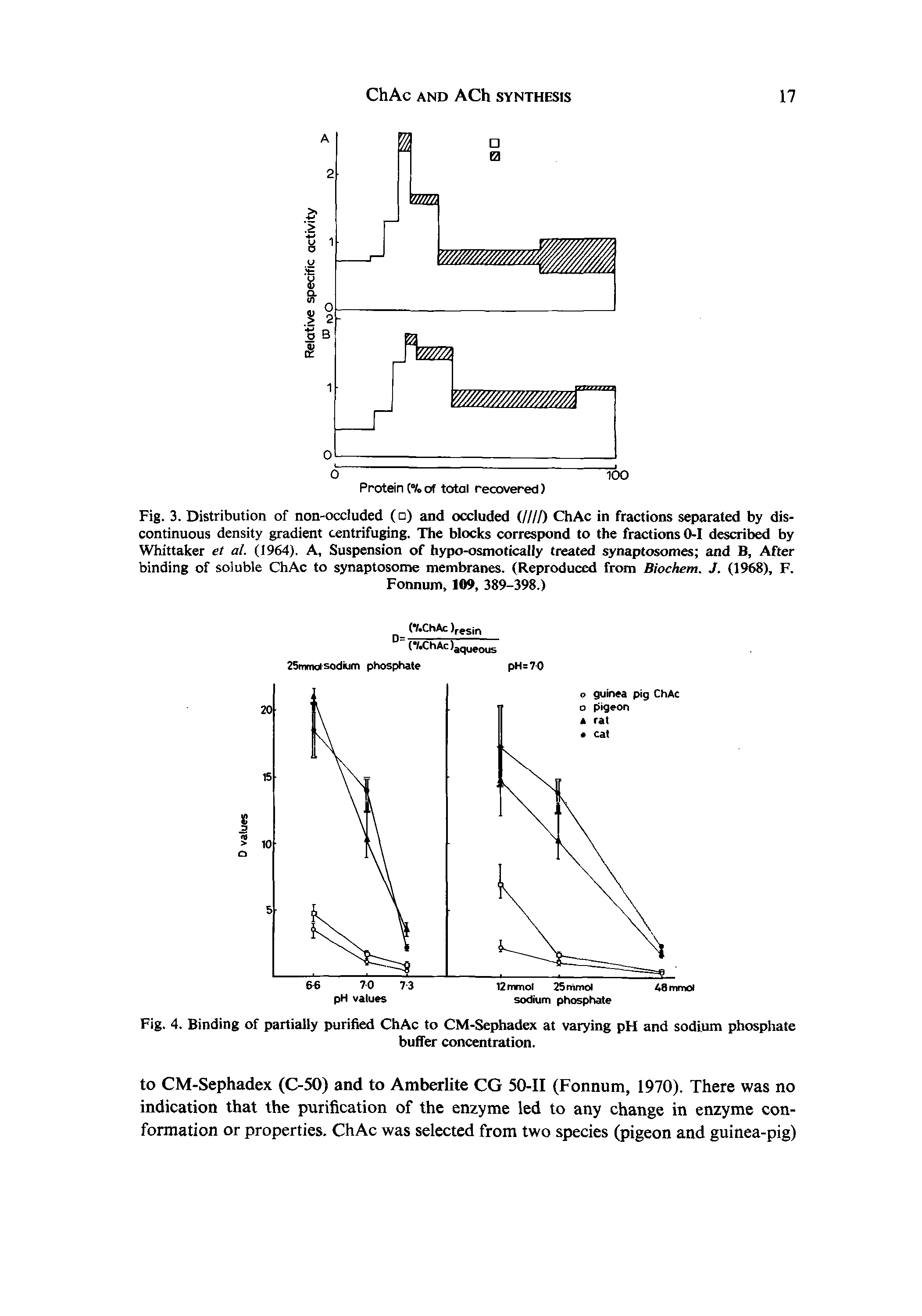 Fig. 3. Distribution of non-occluded ( ) and occluded ill ID ChAc in fractions separated by discontinuous density gradient centrifuging. The blocks correspond to the fractions 0-1 described by Whittaker et at. (1964). A, Suspension of hypo-osmotically treated synaptosomes and B, After binding of soluble ChAc to synaptosome membranes. (Reproduced from Biochem. J. (1968), F.