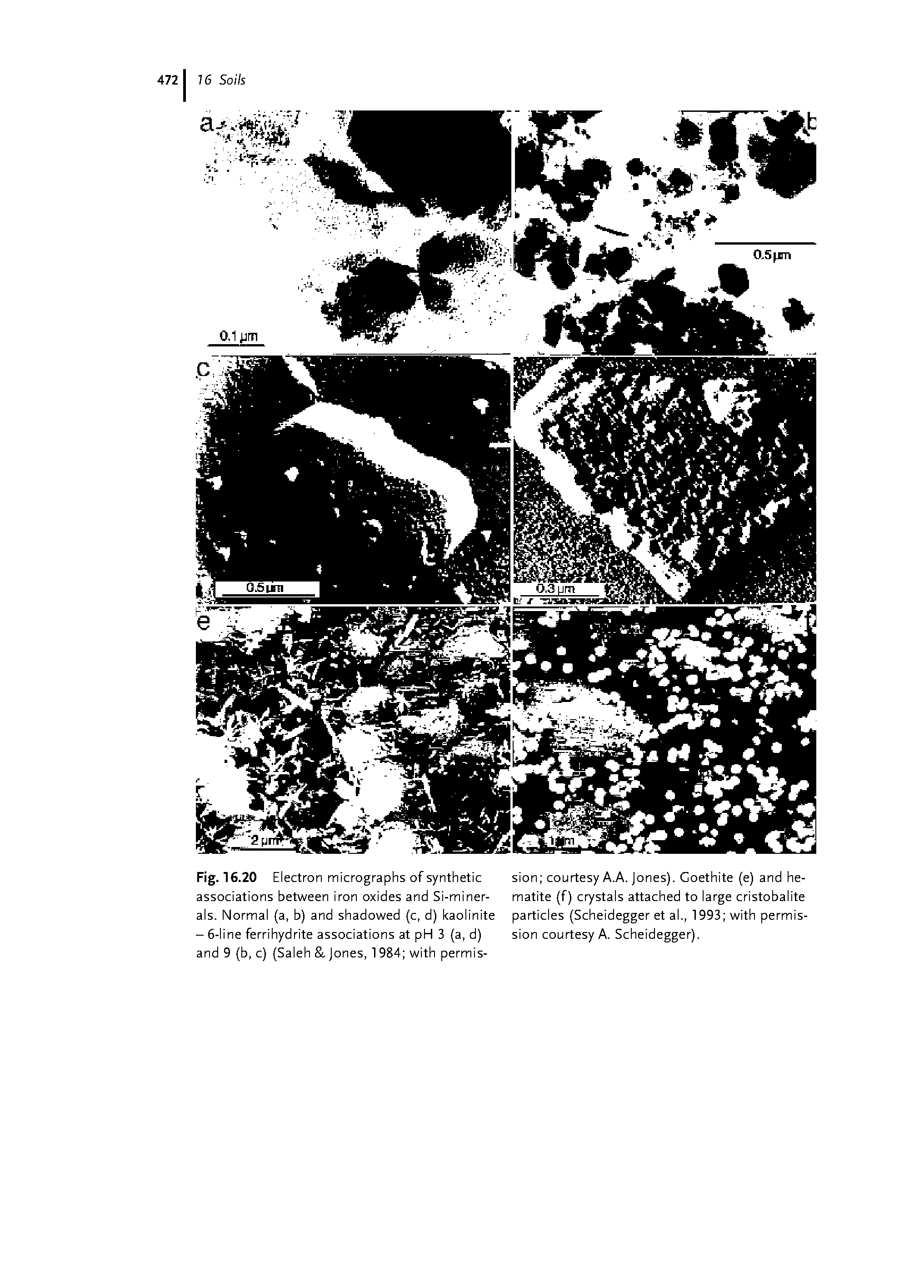 Fig. 16.20 Electron micrographs of synthetic associations between iron oxides and Si-miner-als. Normal (a, b) and shadowed (c, d) kaolinite - 6-line ferrihydrite associations at pH 3 (a, d) and 9 (b, c) (Saleh Jones, 1984 with permis-...