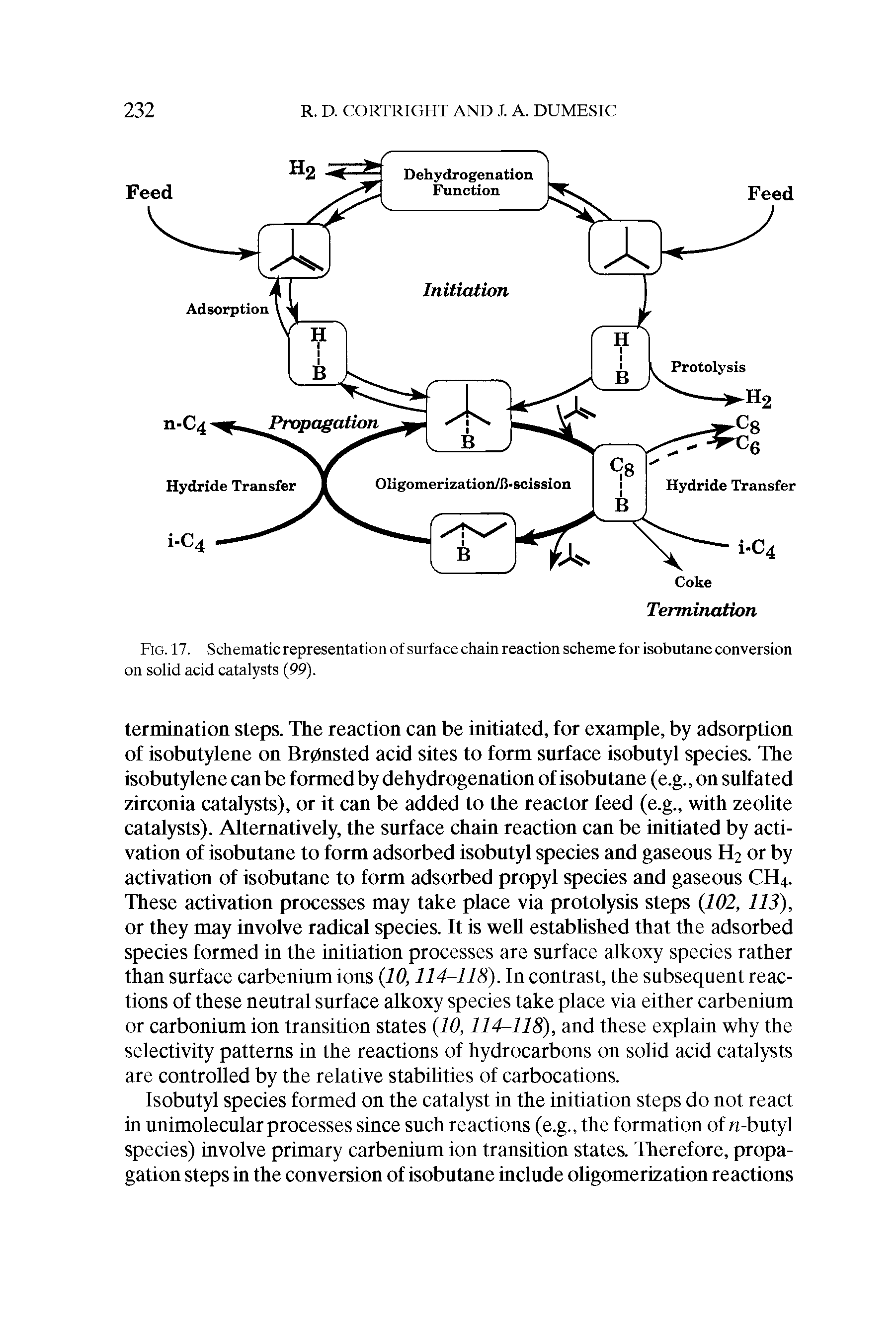Fig. 17. Schematic representation of surface chain reaction scheme for isobutane conversion on solid acid catalysts (99).