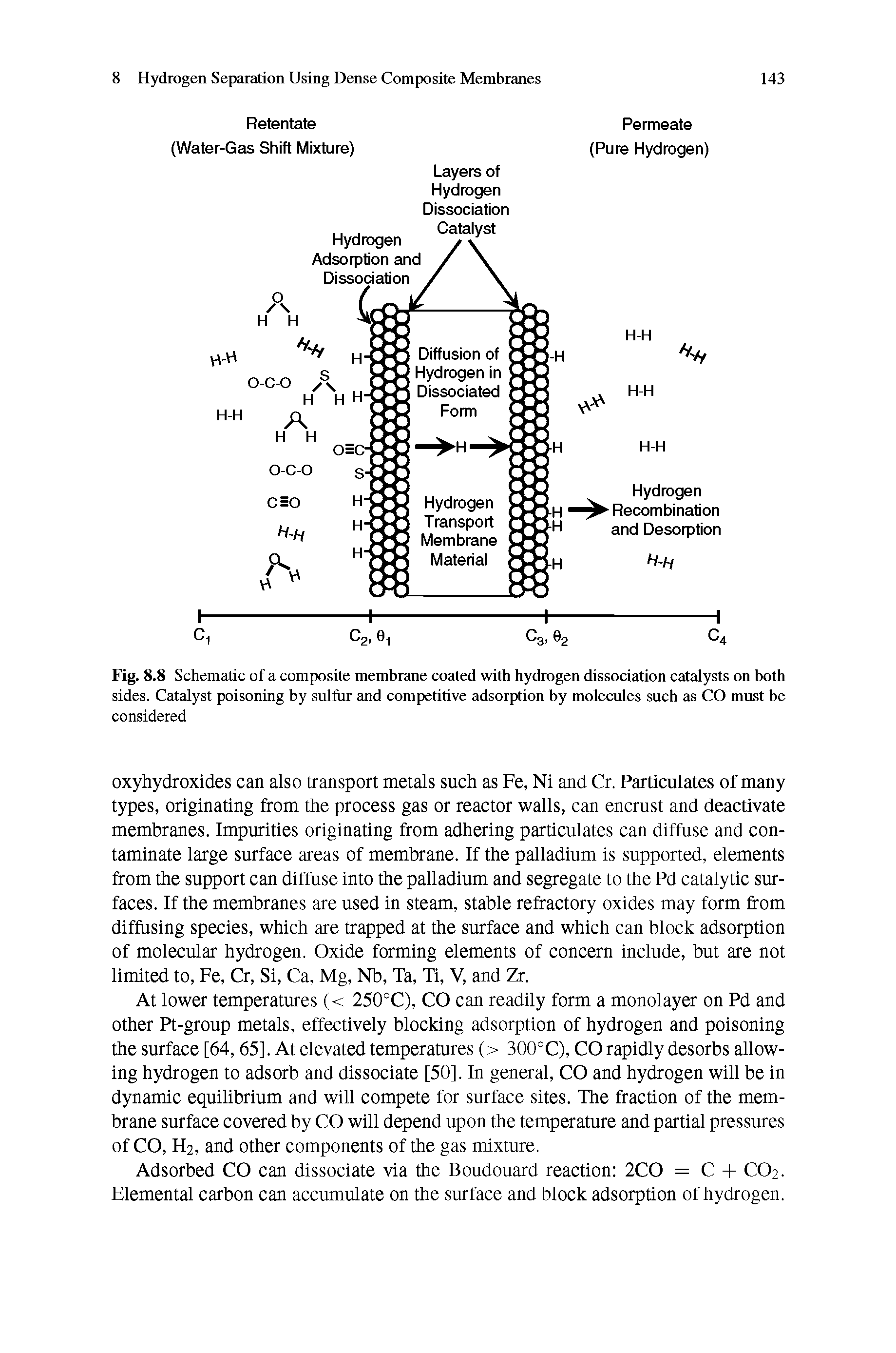 Fig. 8.8 Schematic of a composite membrane coated with hydrogen dissociation catalysts on both sides. Catalyst poisoning by sulfur and competitive adsorption by molecules such as CO must be considered...