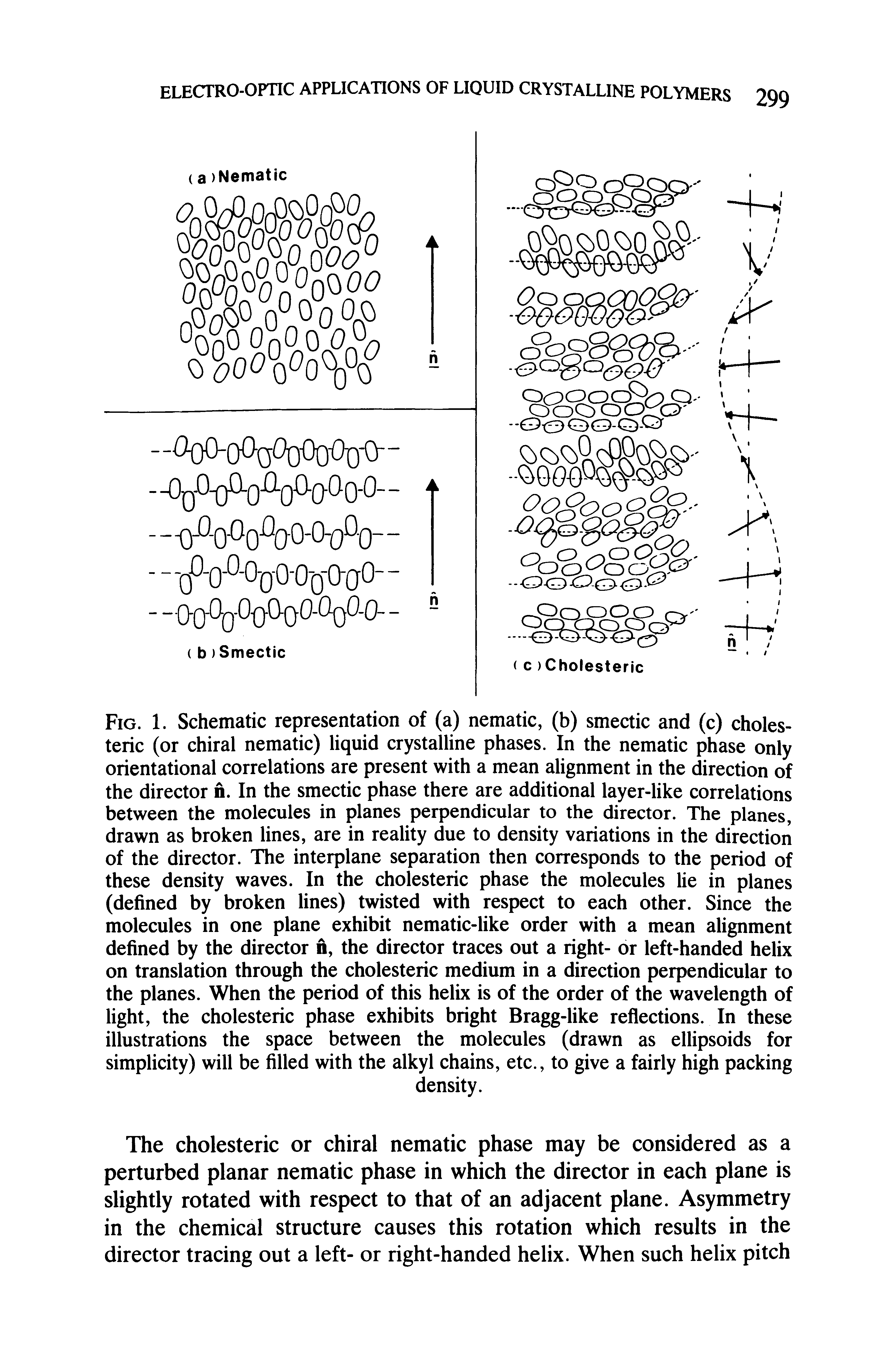 Fig. 1. Schematic representation of (a) nematic, (b) smectic and (c) cholesteric (or chiral nematic) liquid crystalline phases. In the nematic phase only orientational correlations are present with a mean alignment in the direction of the director n. In the smectic phase there are additional layer-like correlations between the molecules in planes perpendicular to the director. The planes, drawn as broken lines, are in reality due to density variations in the direction of the director. The interplane separation then corresponds to the period of these density waves. In the cholesteric phase the molecules lie in planes (defined by broken lines) twisted with respect to each other. Since the molecules in one plane exhibit nematic-like order with a mean alignment defined by the director n, the director traces out a right- or left-handed helix on translation through the cholesteric medium in a direction perpendicular to the planes. When the period of this helix is of the order of the wavelength of light, the cholesteric phase exhibits bright Bragg-like reflections. In these illustrations the space between the molecules (drawn as ellipsoids for simplicity) will be filled with the alkyl chains, etc., to give a fairly high packing...