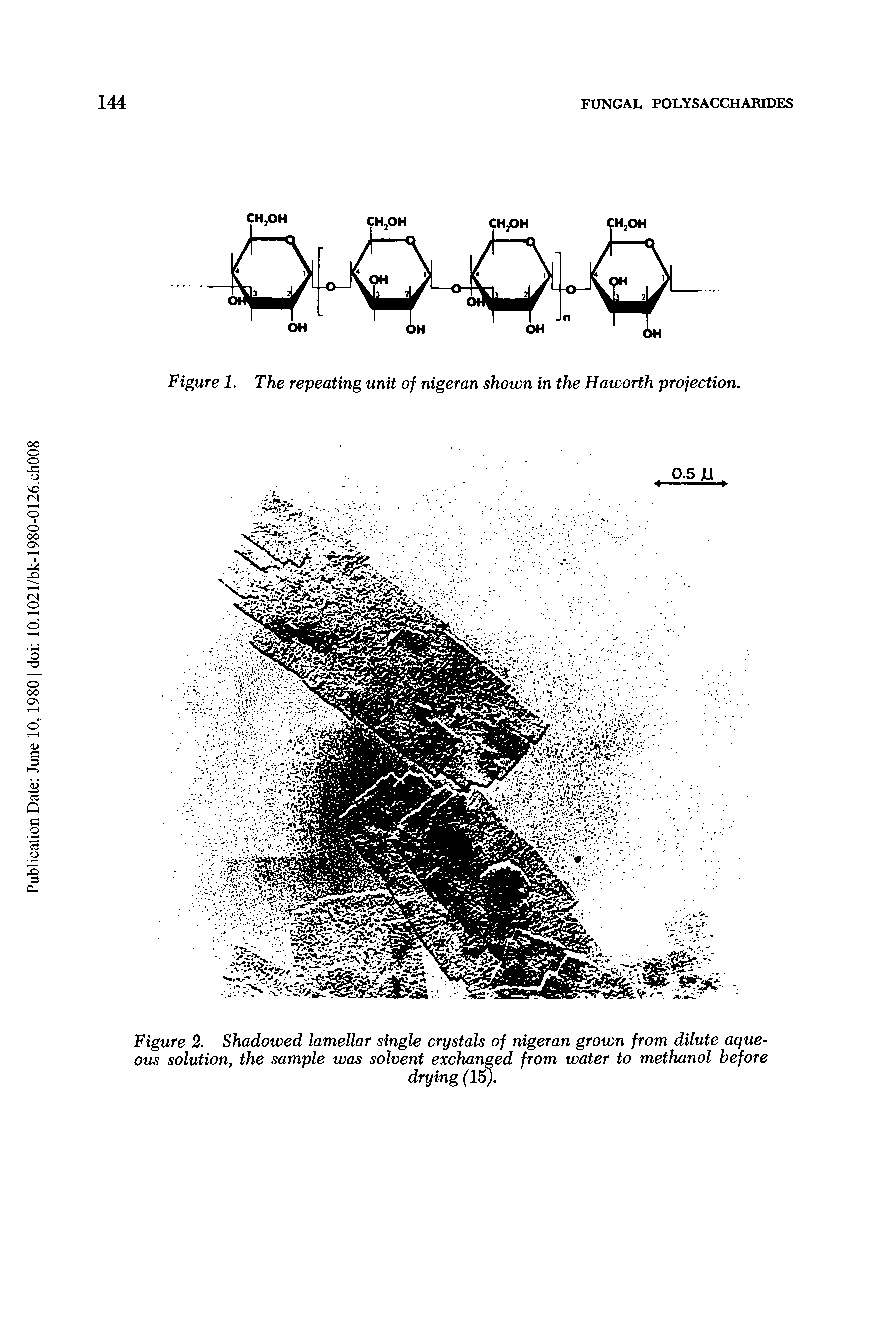 Figure 2. Shadowed lamellar single crystals of nigeran grown from dilute aqueous solution, the sample was solvent exchanged from water to methanol before...