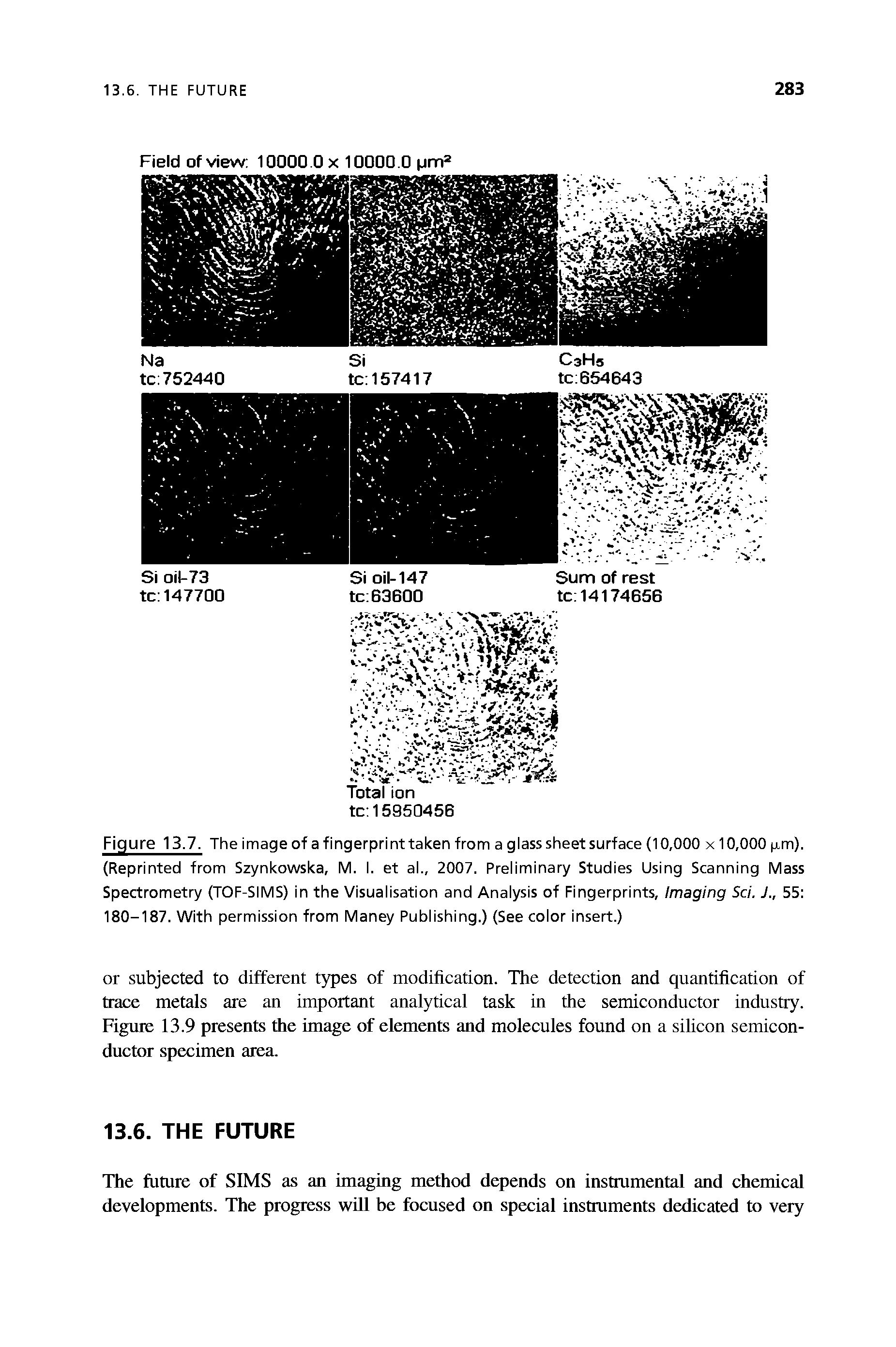 Figure 13.7. The image of a fingerprint taken from a glass sheet surface (10,000 x 10,000 j,m). (Reprinted from Szynkowska, M. I. et al., 2007. Preliminary Studies Using Scanning Mass Spectrometry (TOF-SIMS) in the Visualisation and Analysis of Fingerprints, Imaging Sci. J., 55 180-187. With permission from Maney Publishing.) (See color insert.)...