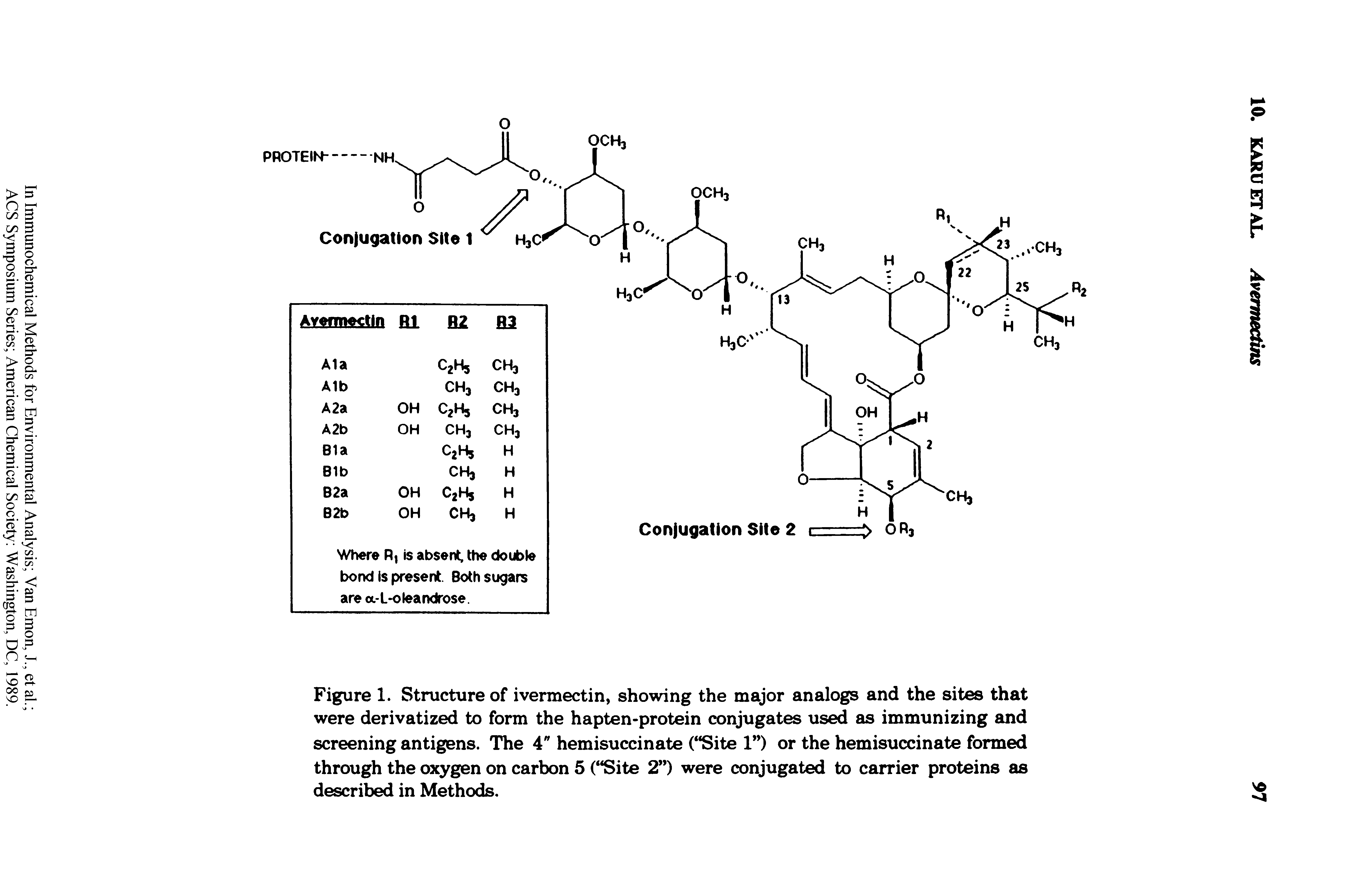 Figure 1. Structure of ivermectin, showing the major analogs and the sites that were derivatized to form the hapten-protein conjugates used as immunizing and screening antigens. The 4" hemisuccinate ( Site 1 ) or the hemisuccinate formed through the oxygen on carbon 5 ( Site 2 ) were conjugated to carrier proteins as described in Methods.