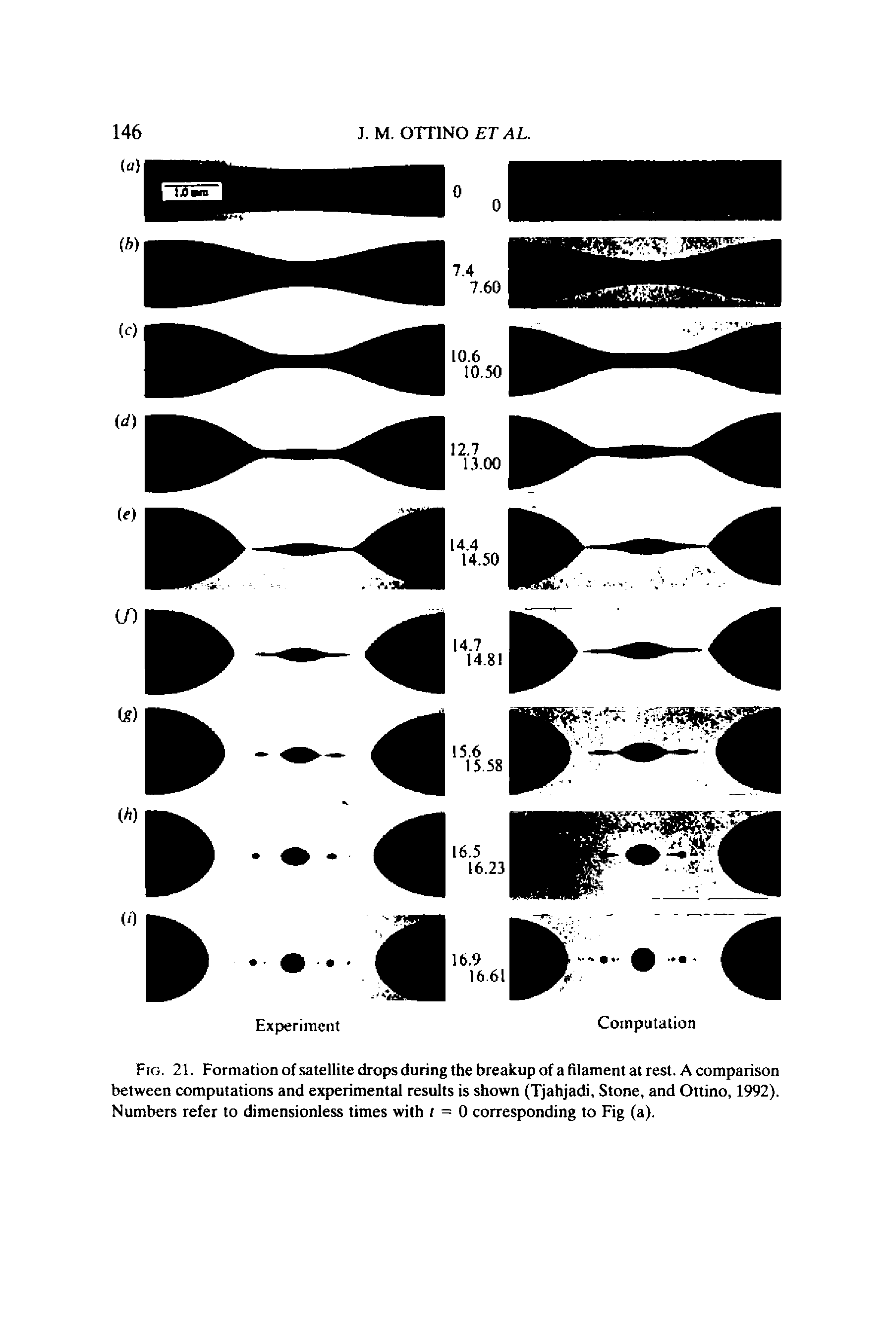 Fig. 21. Formation of satellite drops during the breakup of a filament at rest. A comparison between computations and experimental results is shown (Tjahjadi, Stone, and Ottino, 1992). Numbers refer to dimensionless times with ( = 0 corresponding to Fig (a).