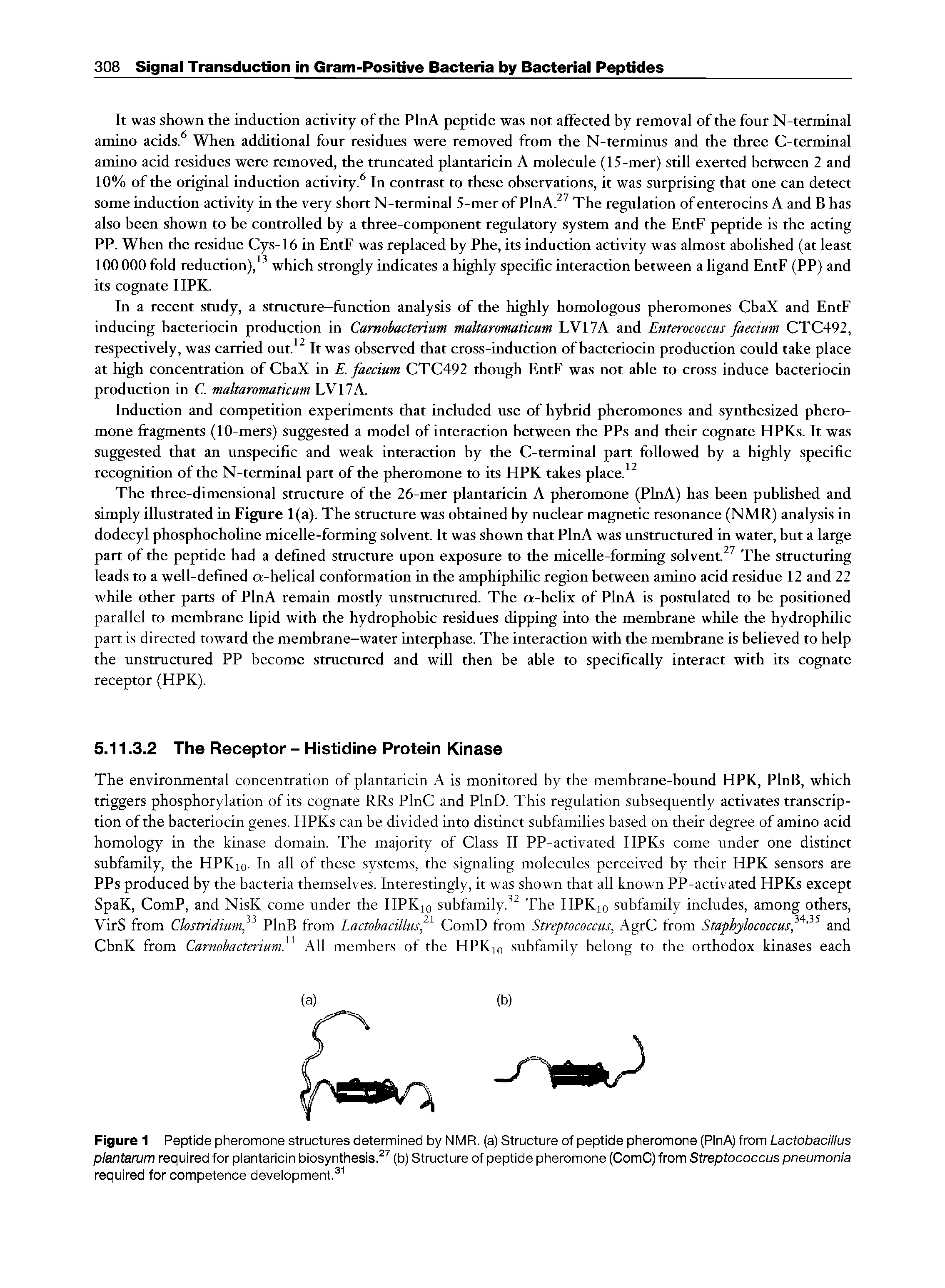 Figure 1 Peptide pheromone structures determined by NMR. (a) Structure of peptide pheromone (PinA) from Lactobacillus plantarum required for piantaricin biosynthesis. (b) Structure of peptide pheromone (ComC) from Streptococcus pneumonia required for competence deveiopment. ...