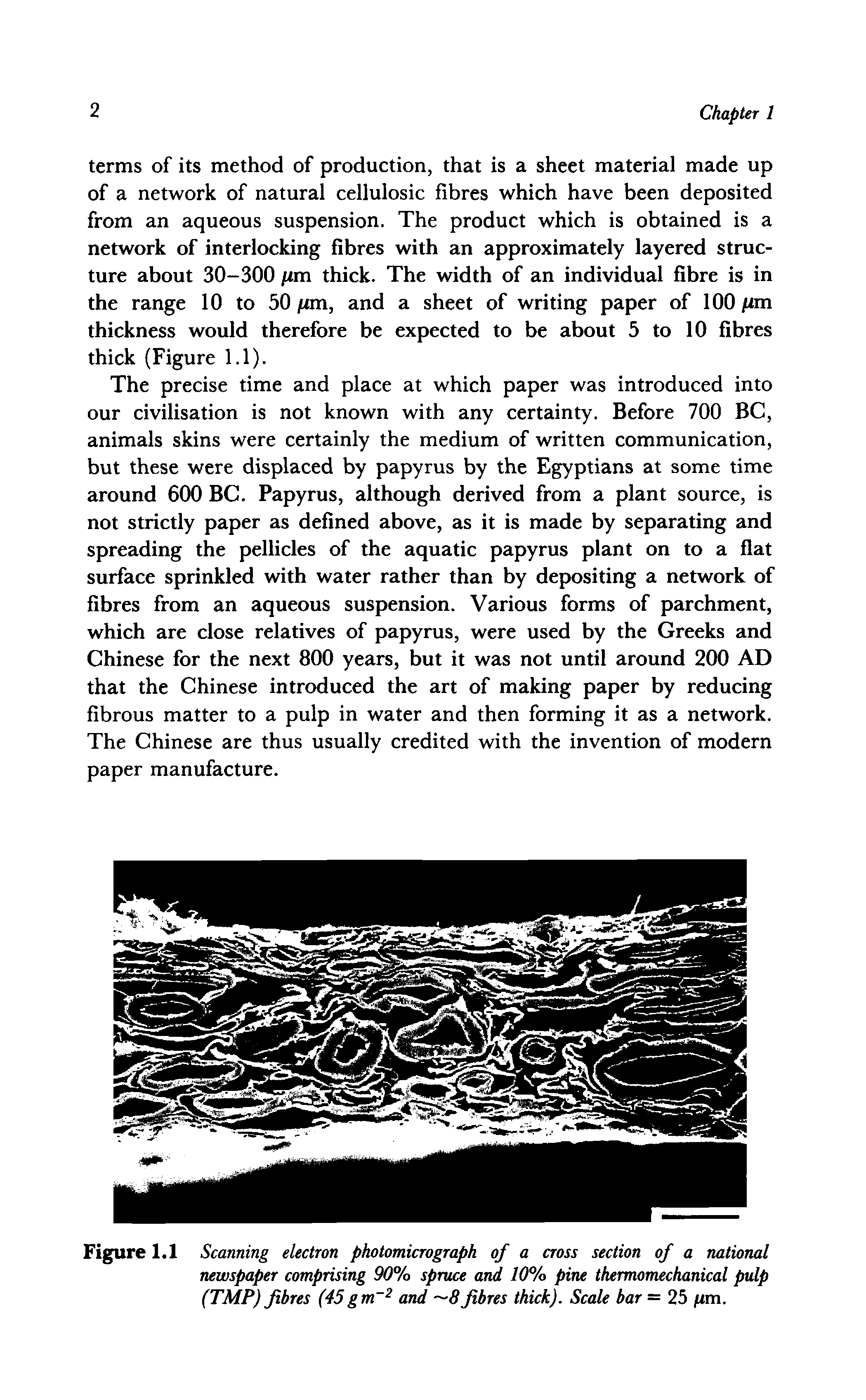 Figure 1.1 Scanning electron photomicrograph of a cross section of a national newspaper comprising 90% spruce and 10% pine thermomechanical pulp (TMP) fibres (45gm 2 and 8fibres thick). Scale bar = 25 fiin.