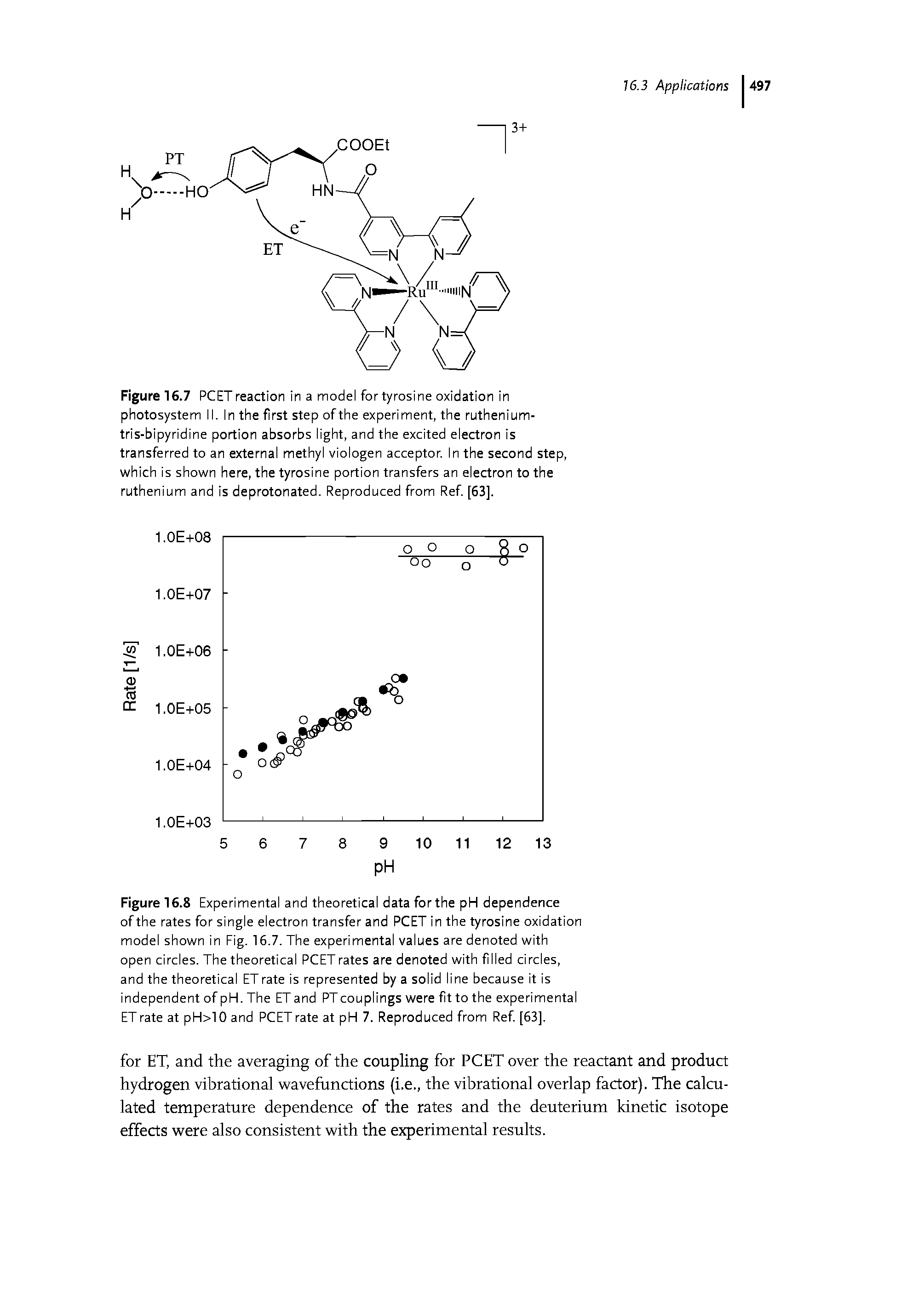 Figure 16.8 Experimental and theoretical data forthe pH dependence of the rates for single electron transfer and PCET in the tyrosine oxidation model shown in Eig. 16.7. The experimental values are denoted with open circles. The theoretical PCET rates are denoted with filled circles, and the theoretical ET rate is represented by a solid line because it is independent of pH. The ET and PTcouplings were fit to the experimental ET rate at pH>10 and PCET rate at pH 7. Reproduced from Ref [63],...