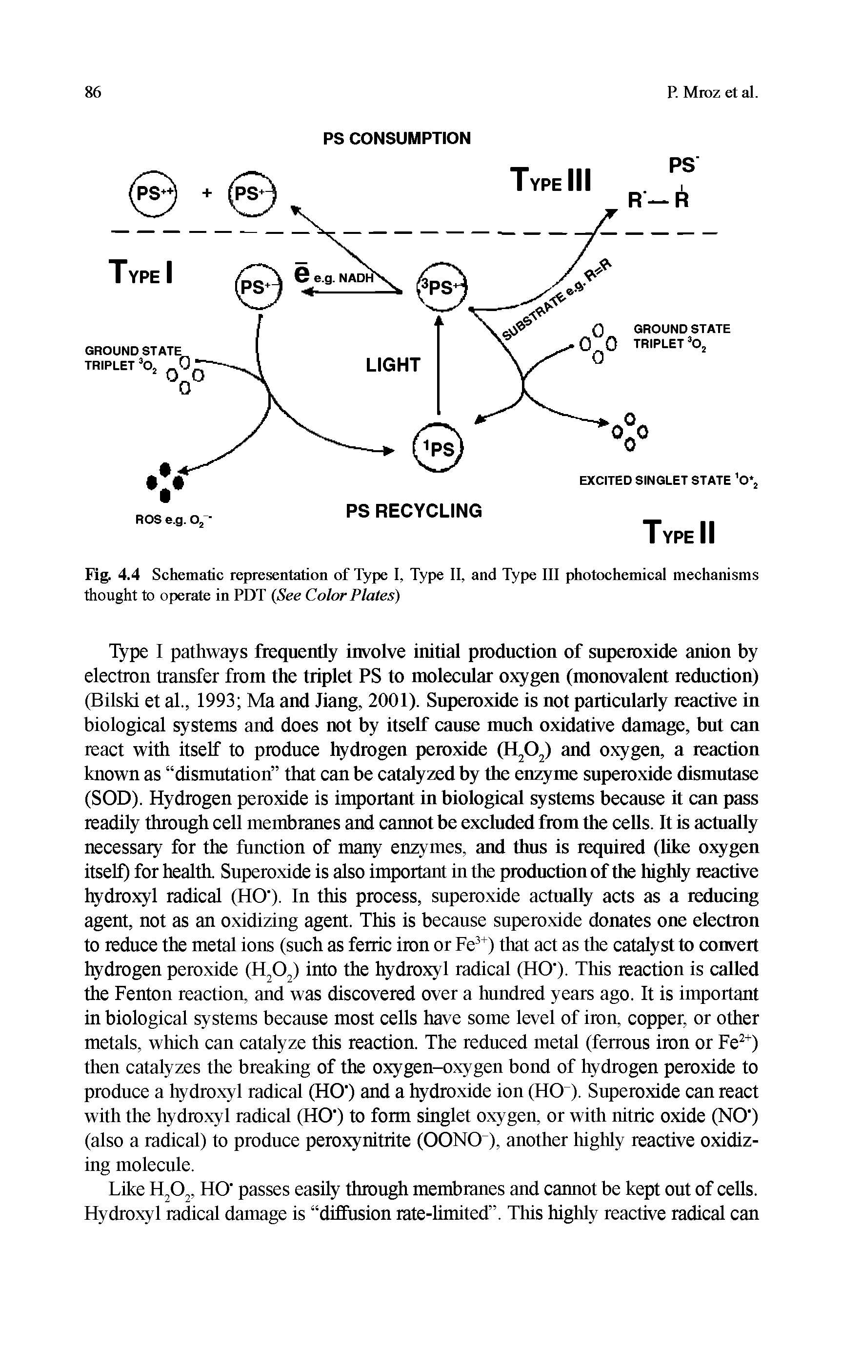 Fig. 4.4 Schematic representation of Type I, Type II, and Type III photochemical mechanisms thought to operate in PDT (See Color Plates)...