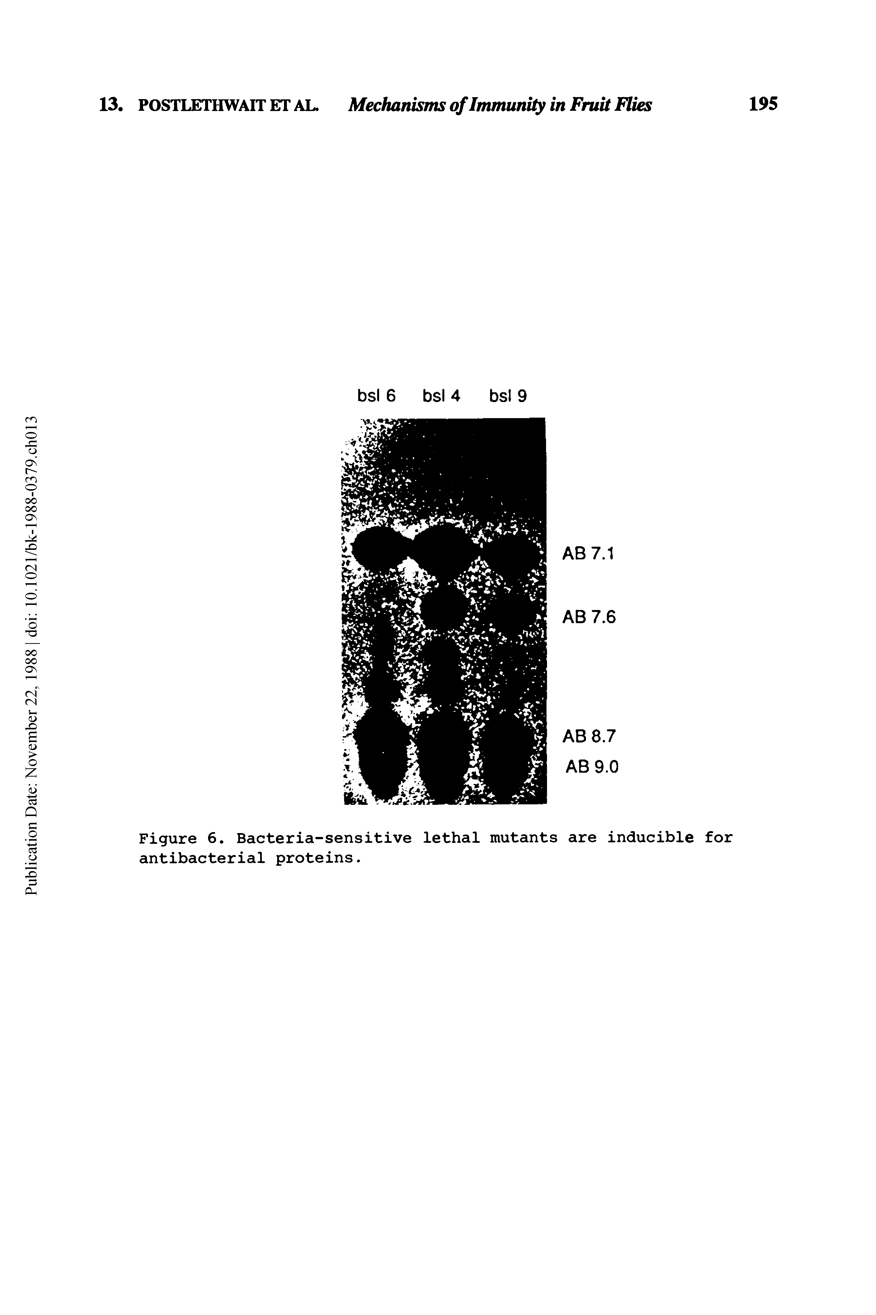 Figure 6. Bacteria-sensitive lethal mutants are inducible for antibacterial proteins.