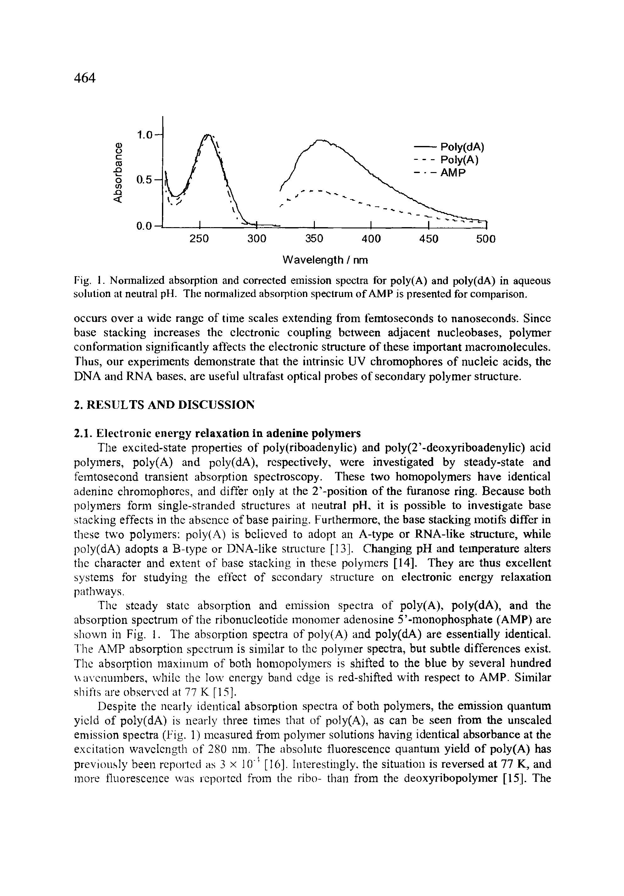 Fig. 1. Normalized absorption and corrected emission spectra for poly (A) and poly(dA) in aqueous solution at neutral pH. The normalized absorption spectrum of AMP is presented for comparison.