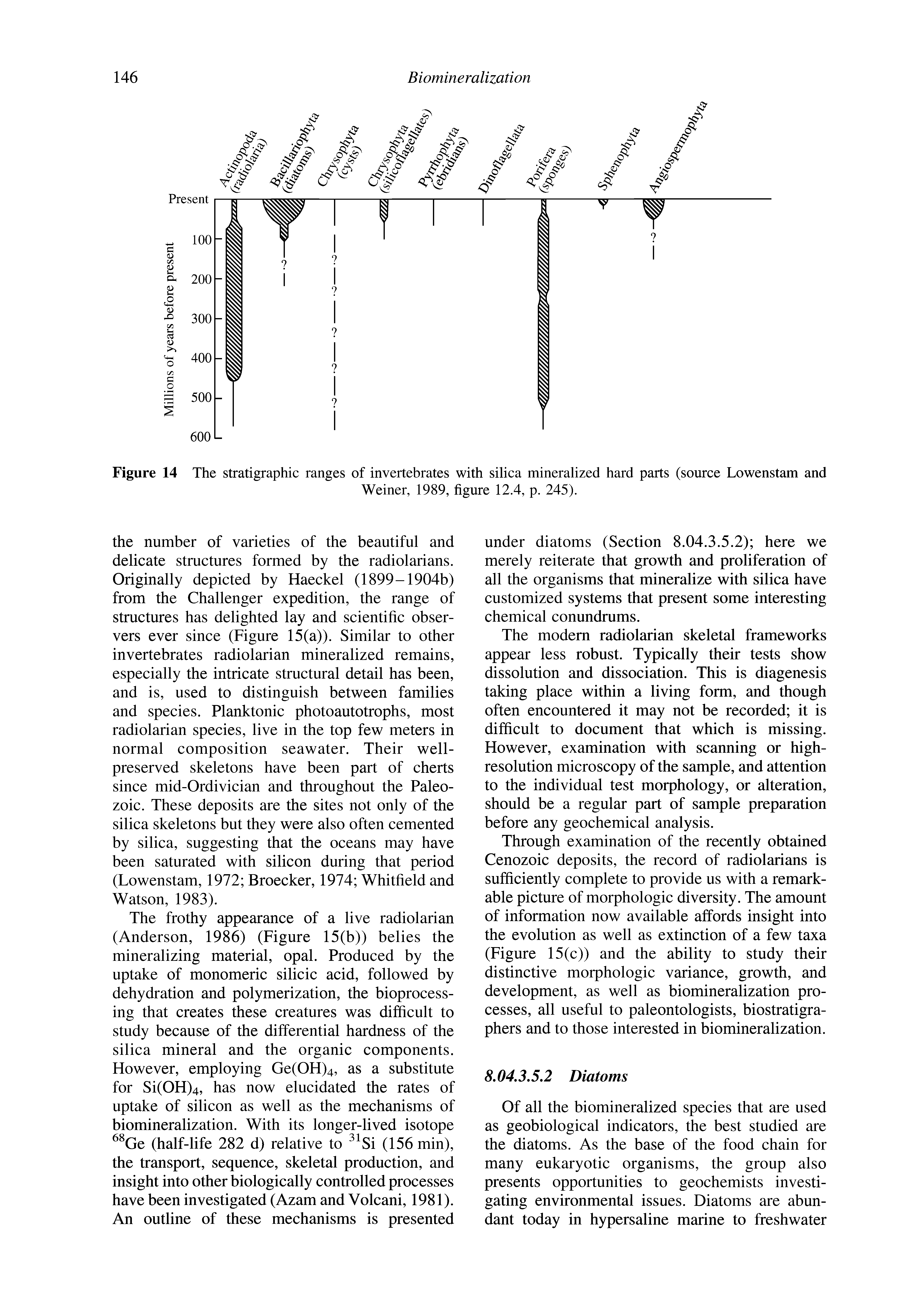 Figure 14 The stratigraphic ranges of invertebrates with silica mineralized hard parts (source Lowenstam and...
