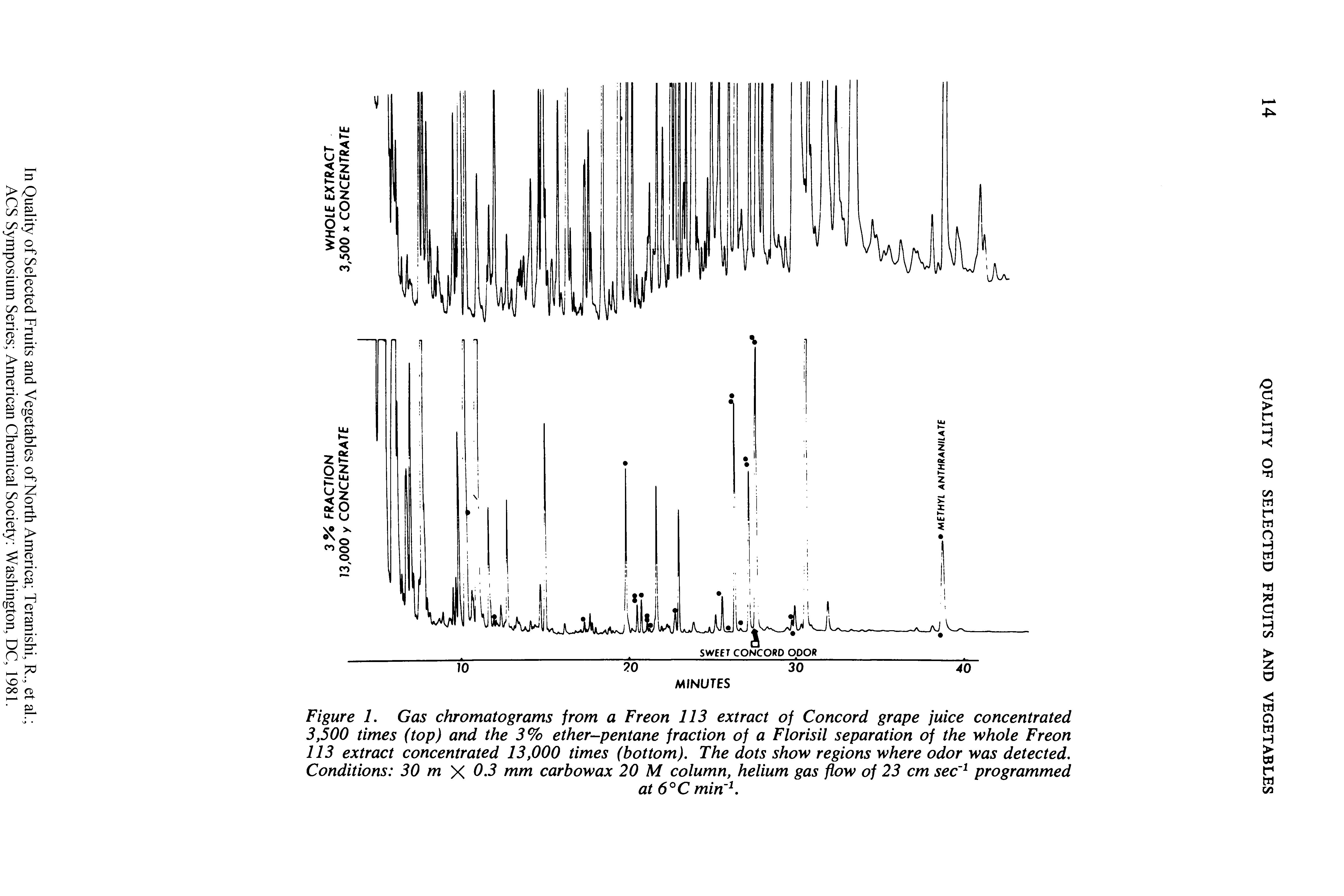 Figure 1. Gas chromatograms from a Freon 113 extract of Concord grape juice concentrated 3,500 times (top) and the 3% ether-pentane fraction of a Florisil separation of the whole Freon 113 extract concentrated 13,000 times (bottom). The dots show regions where odor was detected. Conditions 30 m 0.3 mm carbowax 20 M column, helium gas flow of 23 cm sec programmed...
