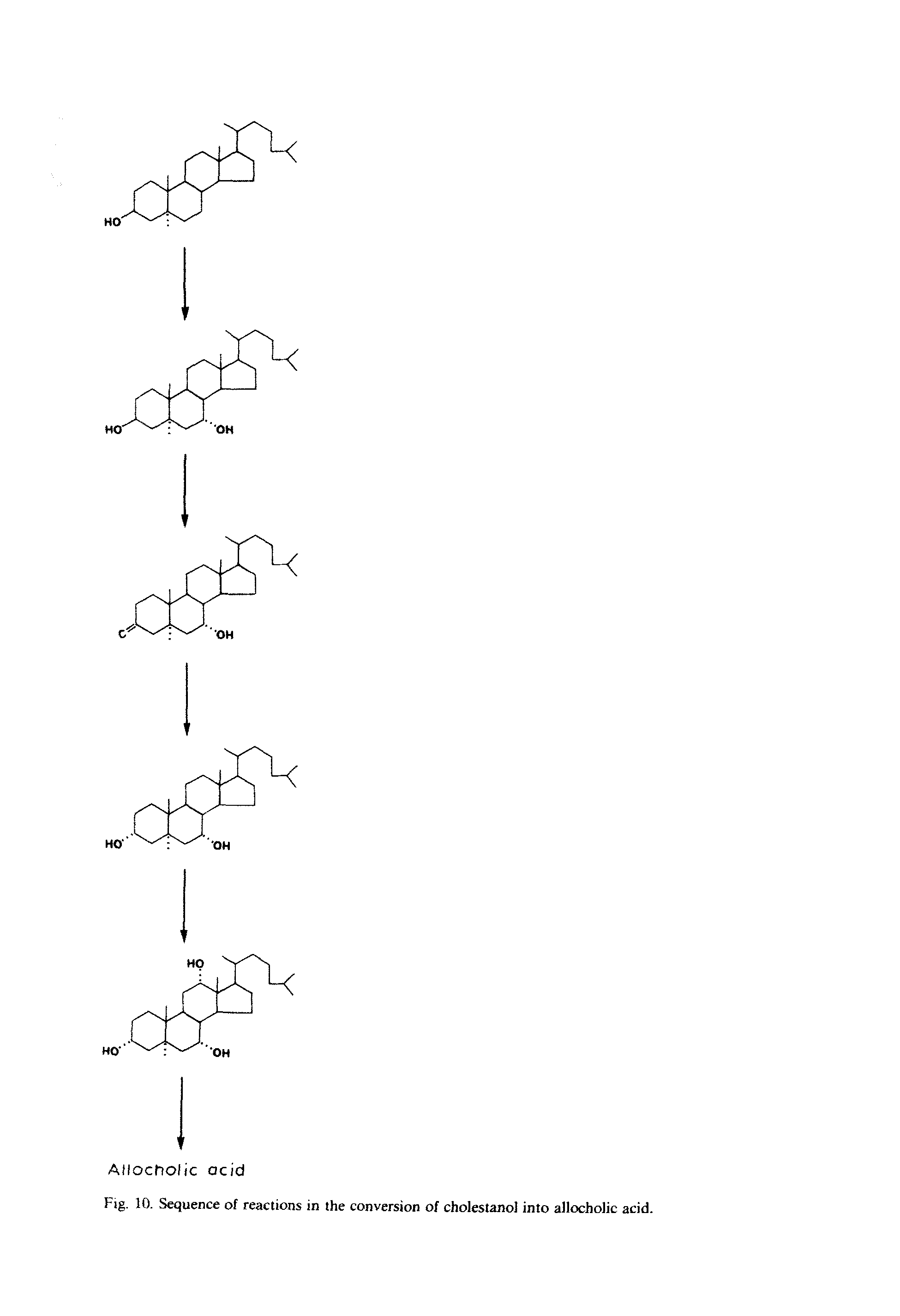 Fig. 10. Sequence of reactions in the conversion of cholestanol into allocholic acid.