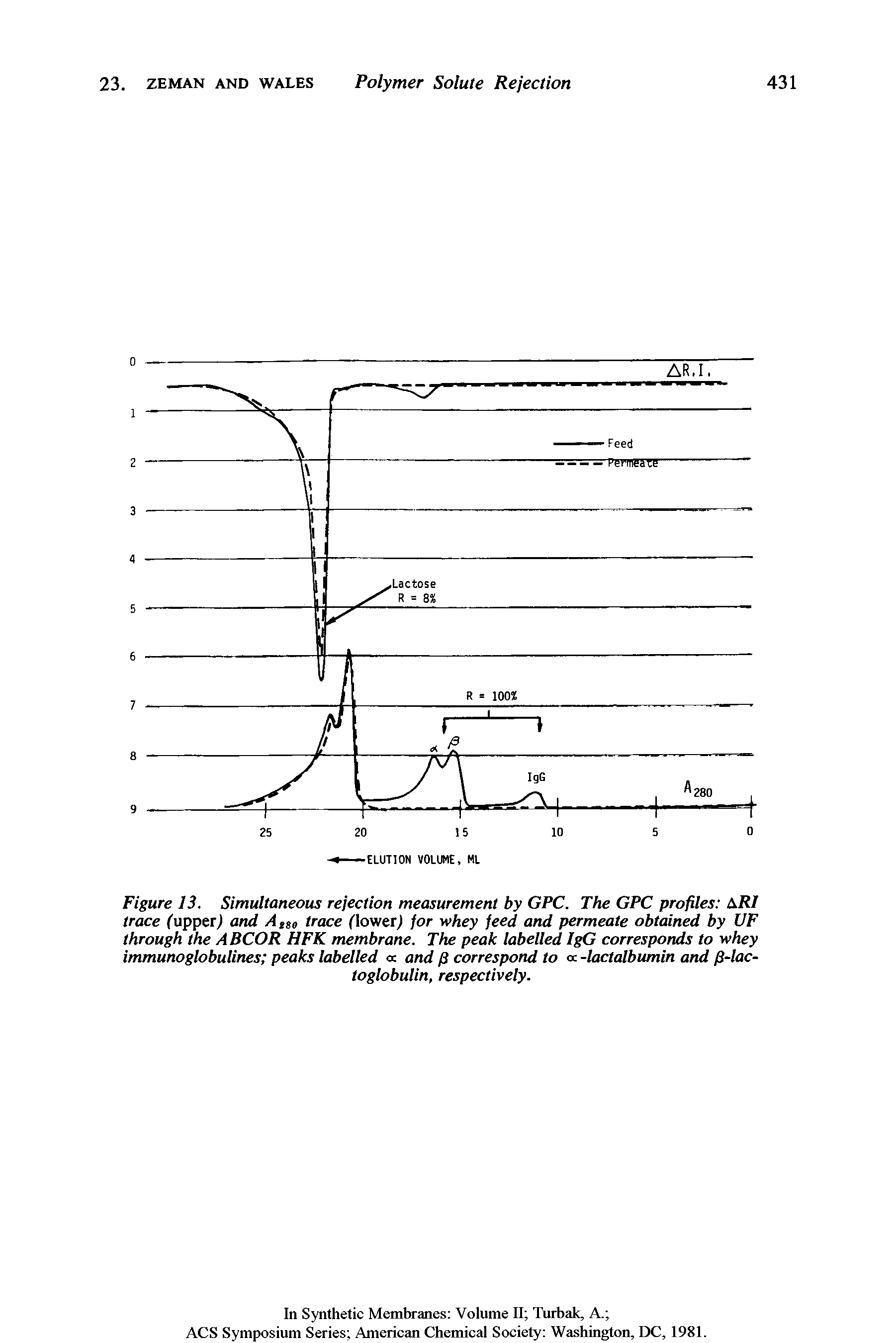 Figure 13. Simultaneous rejection measurement by GPC. The GPC profiles ARI trace Cupperl and A iso trace Clowerl jor whey jeed and permeate obtained by UF through the ABCOR HFK membrane. The peak labelled IgG corresponds to whey immunoglobulines peaks labelled a. and fi correspond to oc -lactalbumin and fi-lac-...