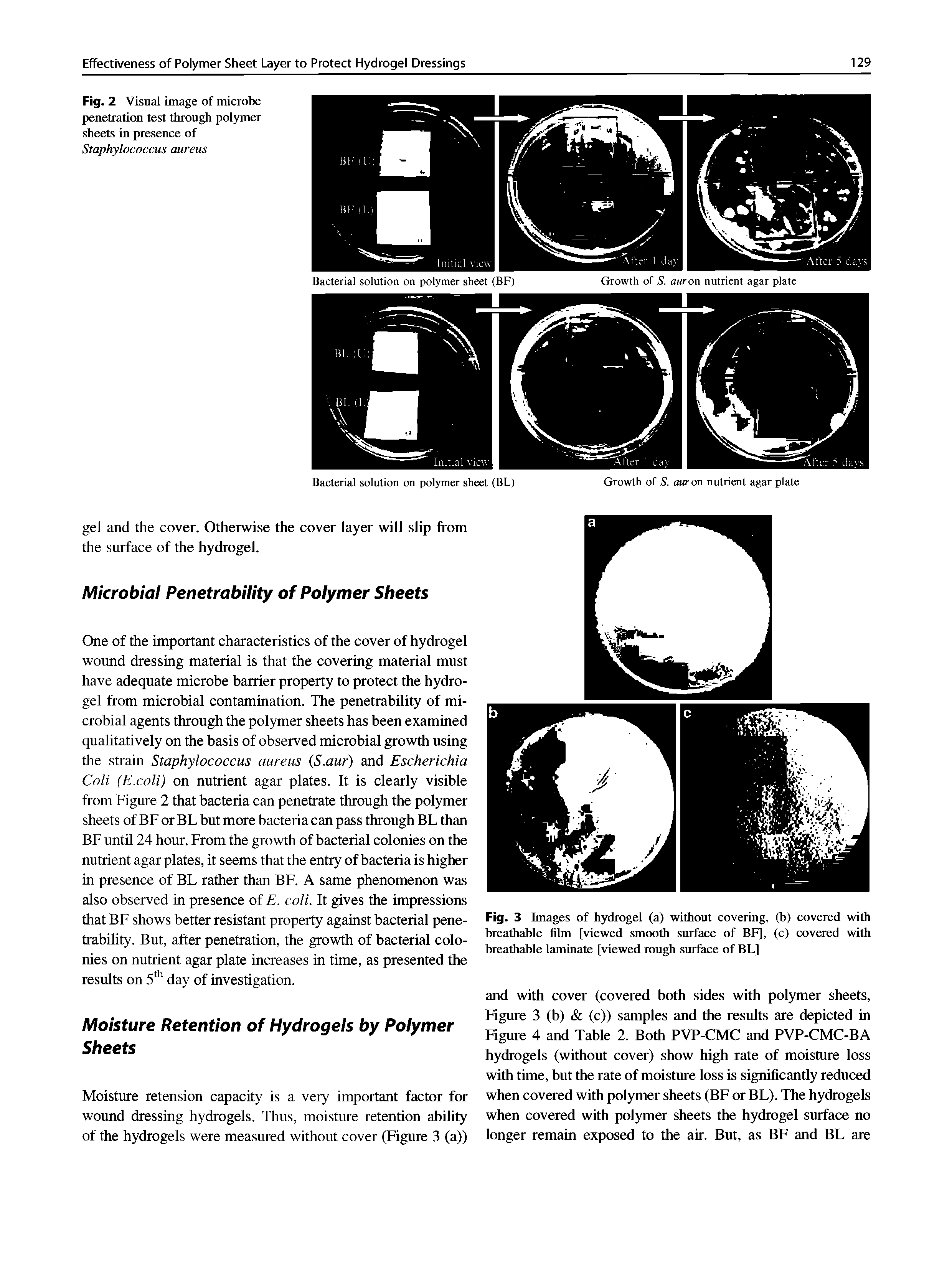 Fig. 3 Images of hydrogel (a) without covering, (b) covered with breathable film [viewed smooth surface of BF], (c) covtaed with breathable laminate [viewed rough surface of BL]...