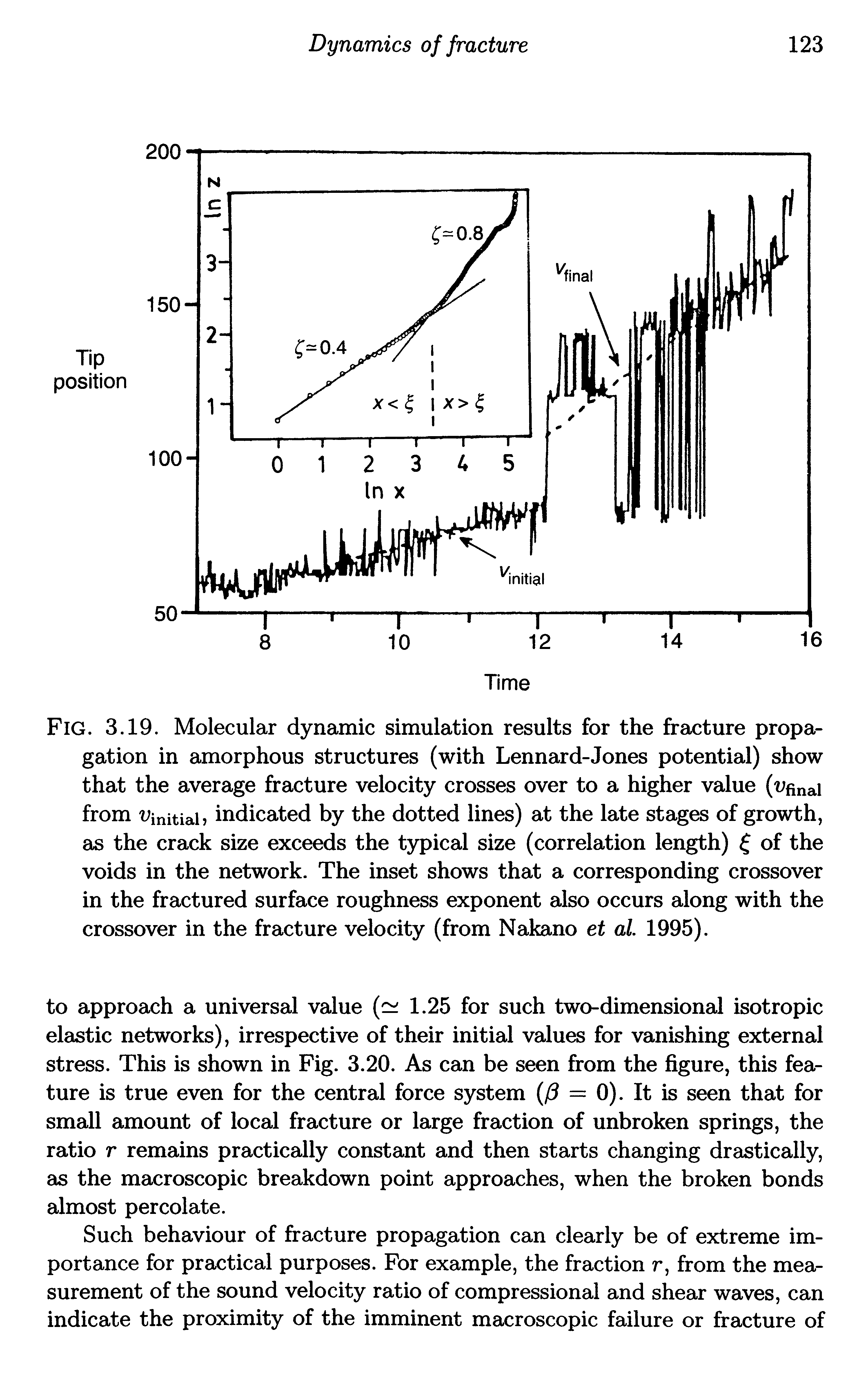 Fig. 3.19. Molecular dynamic simulation results for the fracture propagation in amorphous structures (with Lennard-Jones potential) show that the average fracture velocity crosses over to a higher value (ufinai from Uinitiaij indicated by the dotted lines) at the late stages of growth, as the crack size exceeds the typical size (correlation length) of the voids in the network. The inset shows that a corresponding crossover in the fractured surface roughness exponent also occurs along with the crossover in the fracture velocity (from Nakano et al 1995).