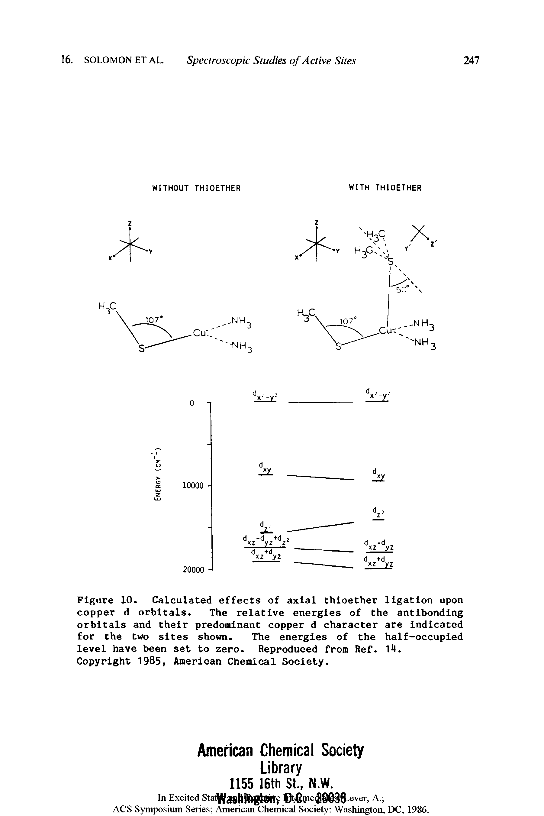 Figure 10. Calculated effects of axial thioether ligation upon copper d orbitals. The relative energies of the antibonding orbitals and their predominant copper d character are indicated for the two sites shown. The energies of the half-occupied level have been set to zero. Reproduced from Ref. 14.