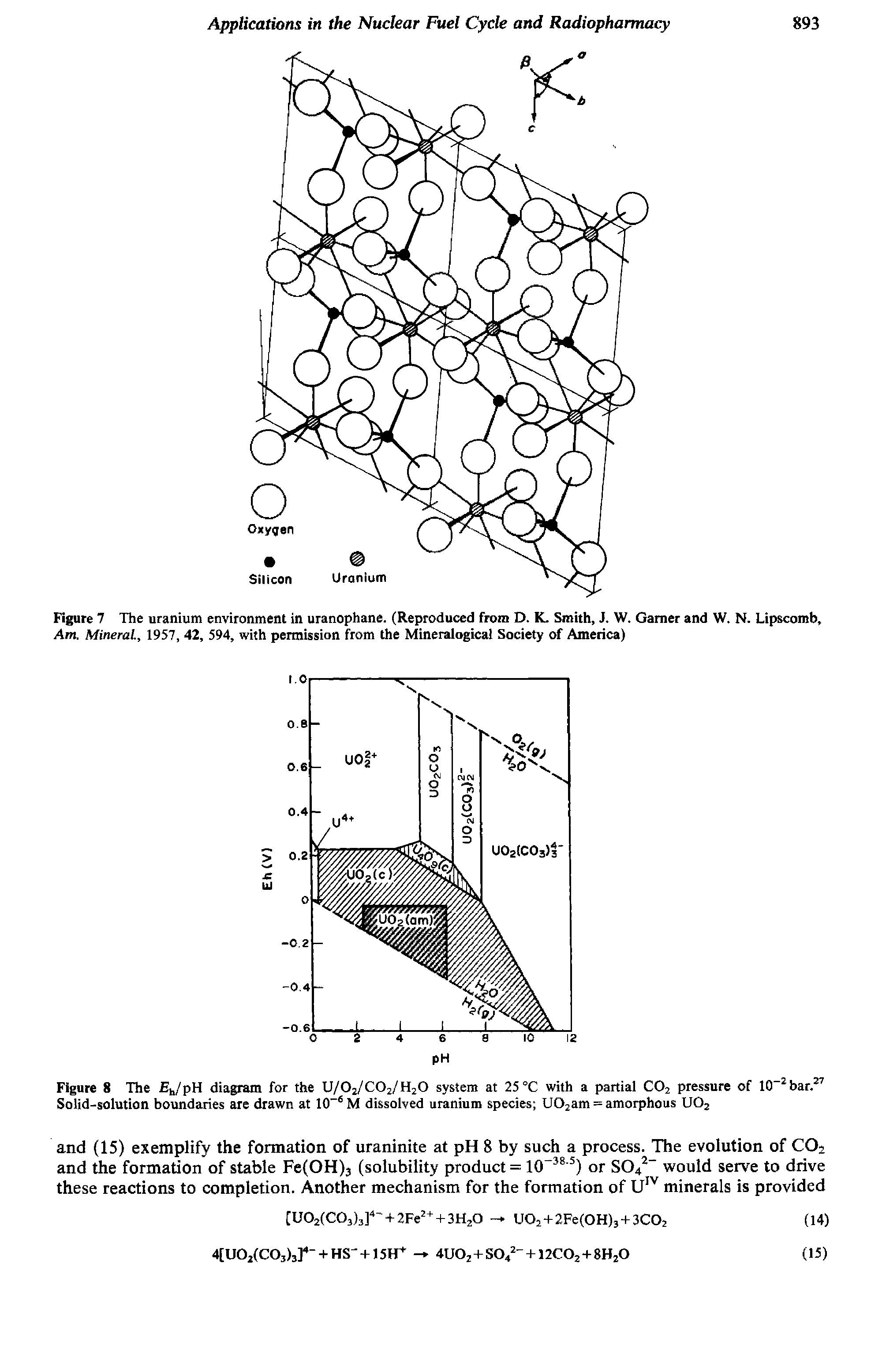 Figure 8 The Eh/pH diagram for the U/02/C02/H20 system at 25 °C with a partial C02 pressure of 10 2bar.27 Solid-solution boundaries are drawn at 10-6 M dissolved uranium species U02am = amorphous U02...