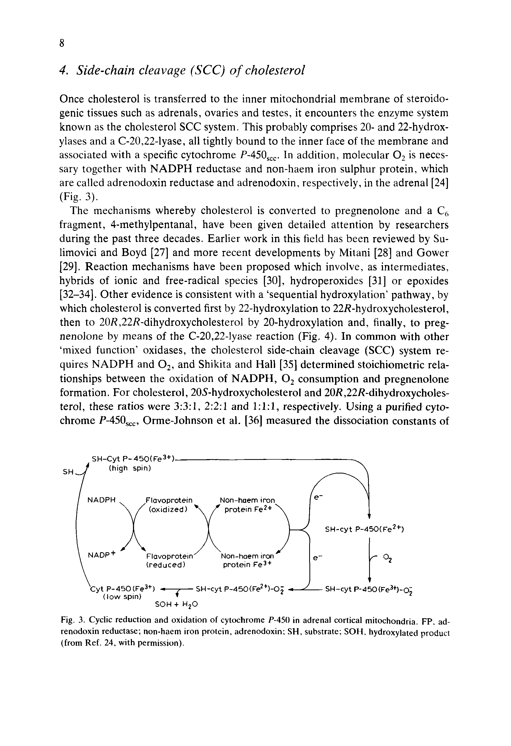 Fig. 3. Cyclic reduction and oxidation of cytochrome P-450 in adrenal cortical mitochondria. FP. adrenodoxin reductase non-haem iron protein, adrenodoxin SH, substrate SOH. hydroxylated product (from Ref. 24, with permission).