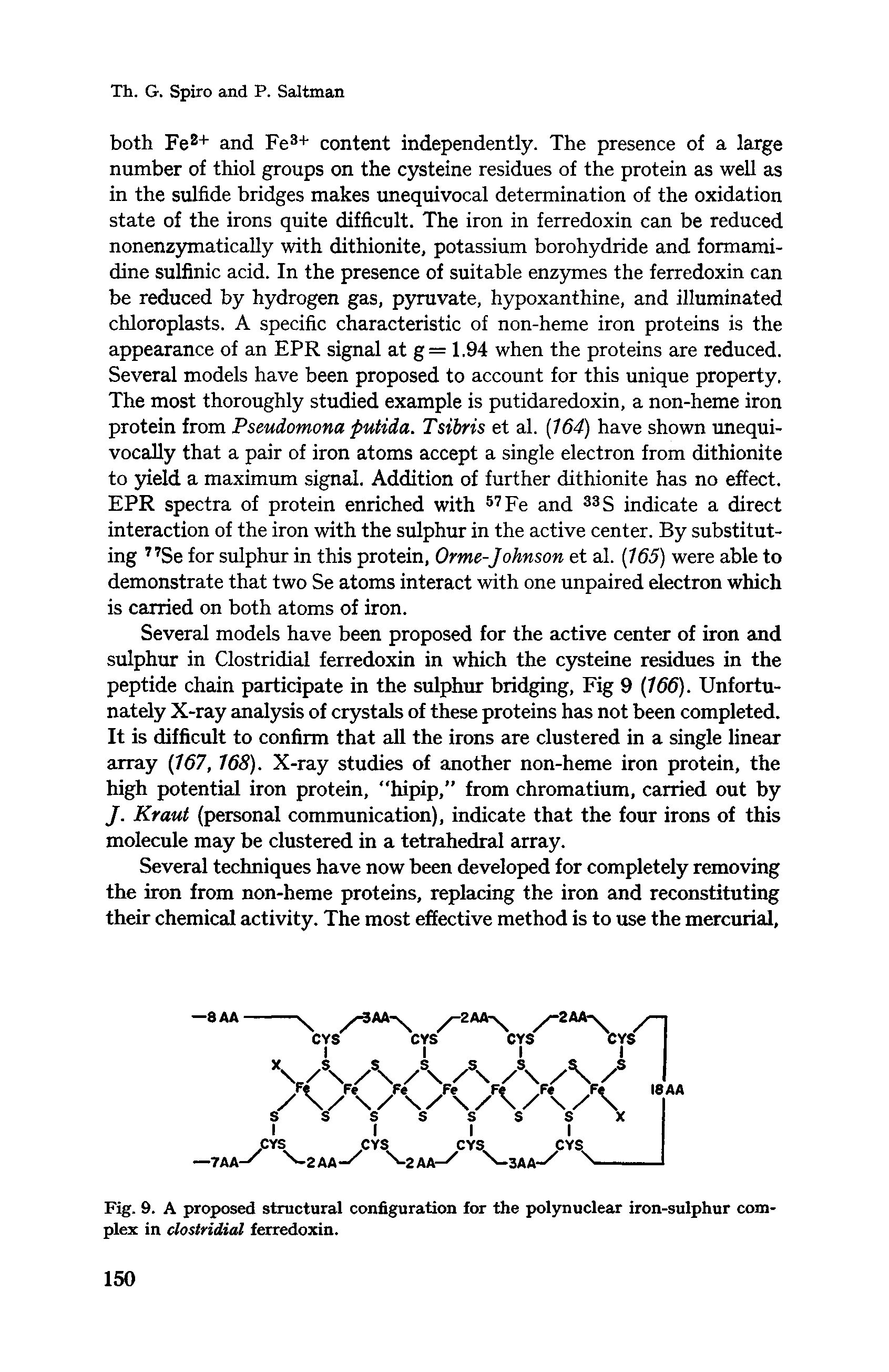 Fig. 9. A proposed structural configuration for the polynuclear iron-sulphur complex in clostridial ferredoxin.