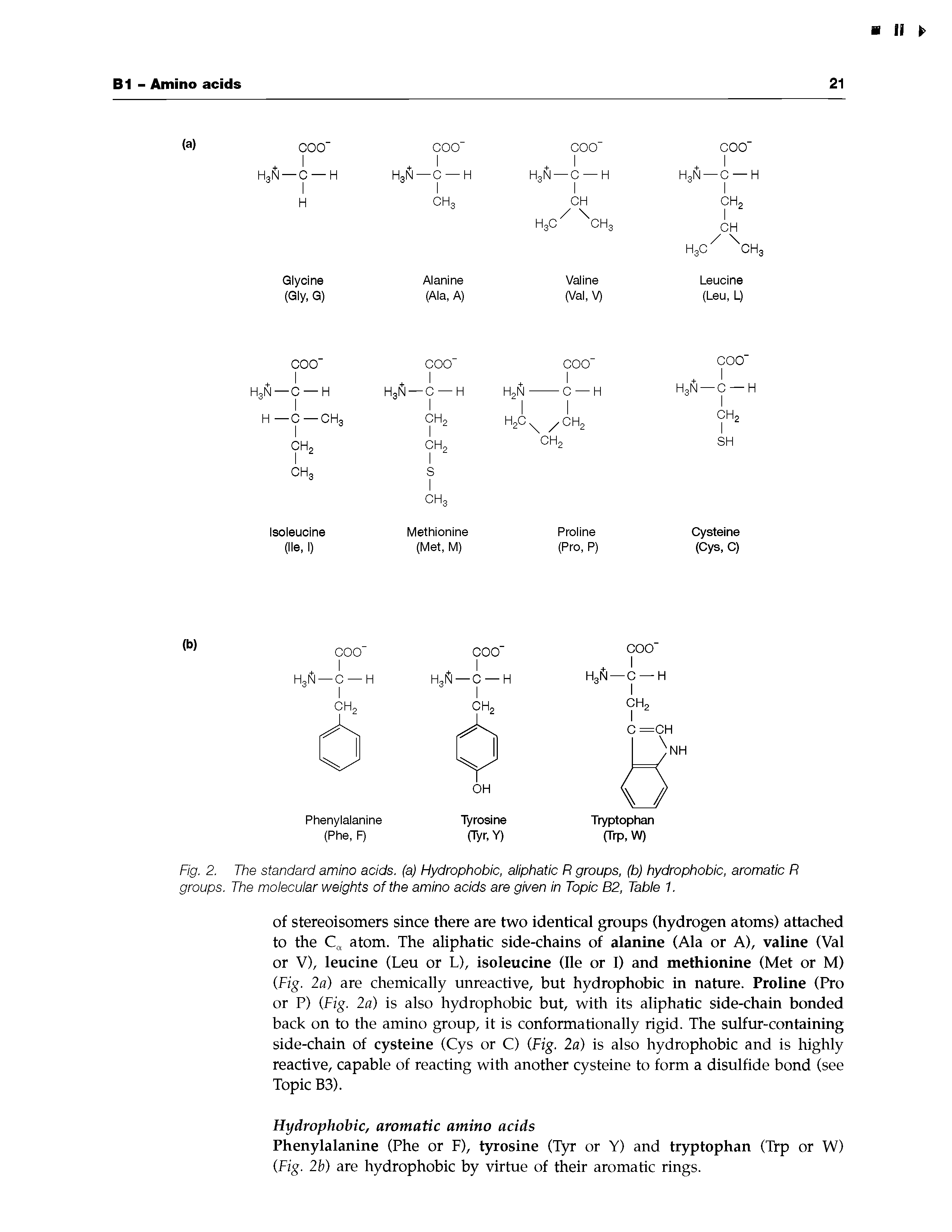 Fig. 2. The standard amino acids, (a) Hydrophobic, aliphatic R groups, (b) hydrophobic, aromatic R groups. The molecular weights of the amino acids are given in Topic B2, Table 1.