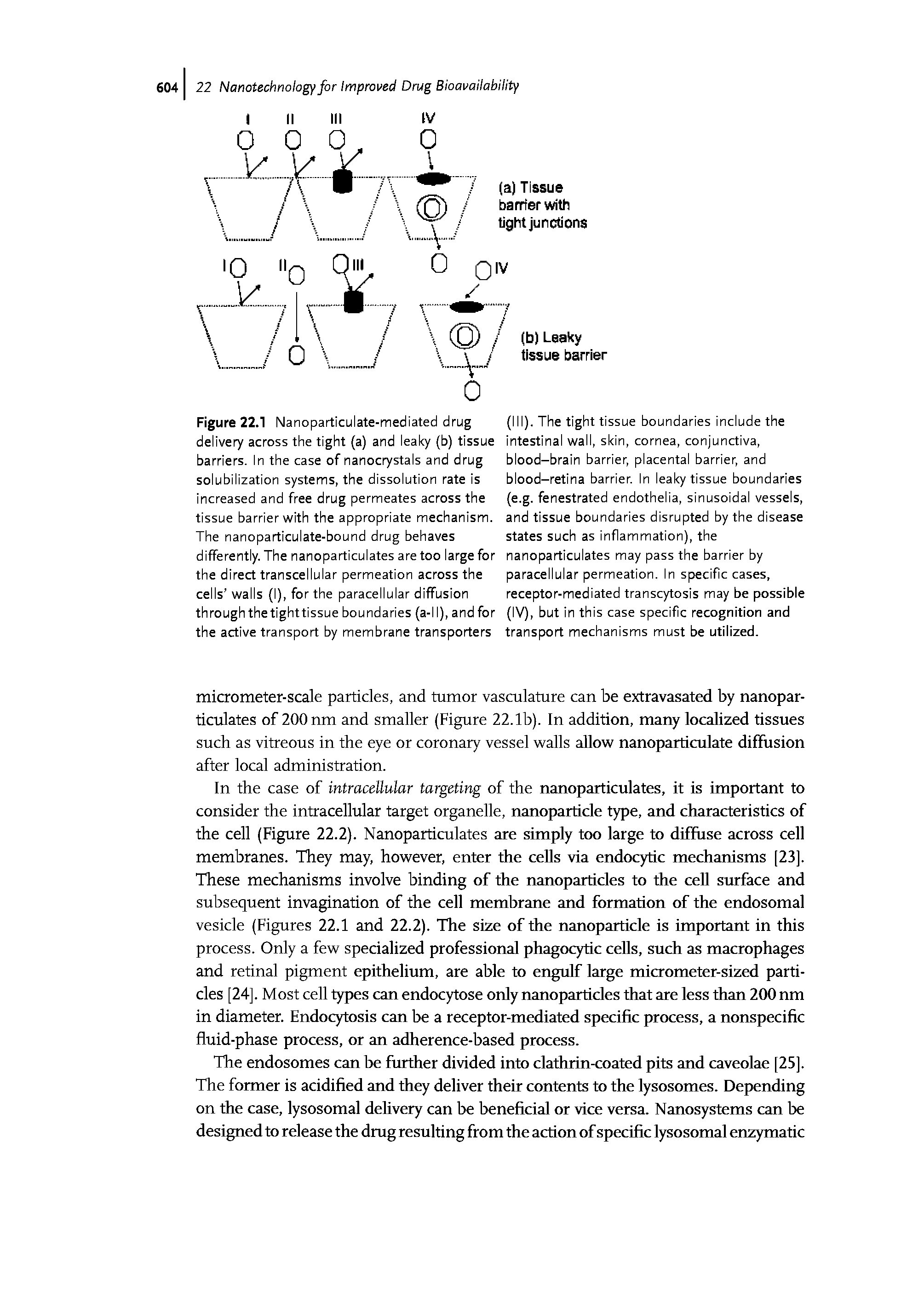 Figure 22.1 Nanoparticulate-mediated drug delivery across the tight (a) and leaky (b) tissue barriers. In the case of nanocrystals and drug solubilization systems, the dissolution rate is increased and free drug permeates across the tissue barrier with the appropriate mechanism. The nanoparticulate-bound drug behaves differently. The nanoparticulates are too large for the direct transcellular permeation across the cells walls (I), for the paracellular diffusion through the tight tissue boundaries (a-l I), and for the active transport by membrane transporters...