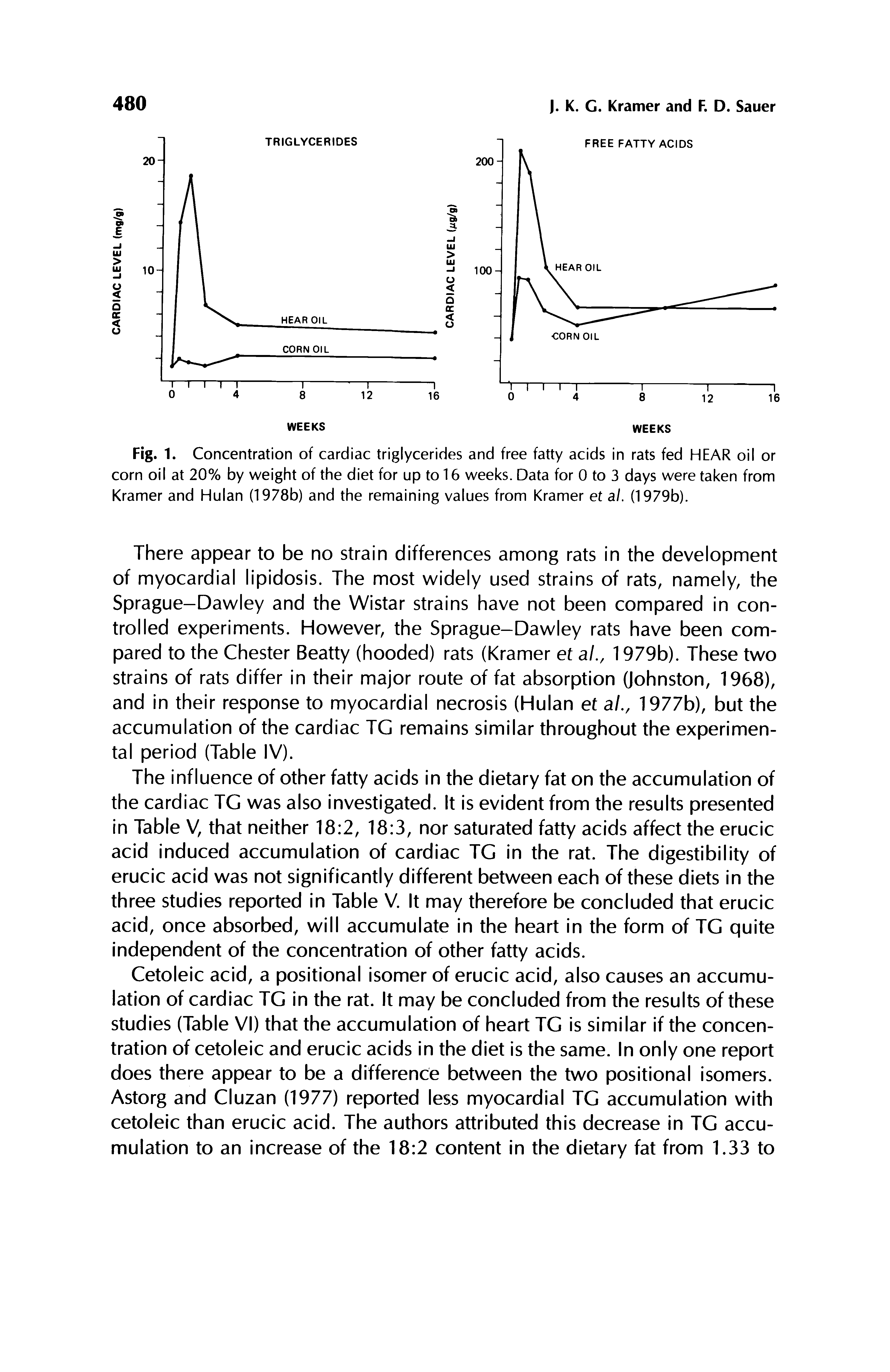 Fig. 1. Concentration of cardiac triglycerides and free fatty acids in rats fed HEAR oil or corn oil at 20% by weight of the diet for up to 16 weeks. Data for 0 to 3 days were taken from Kramer and Hulan (1978b) and the remaining values from Kramer et a/. (1979b).