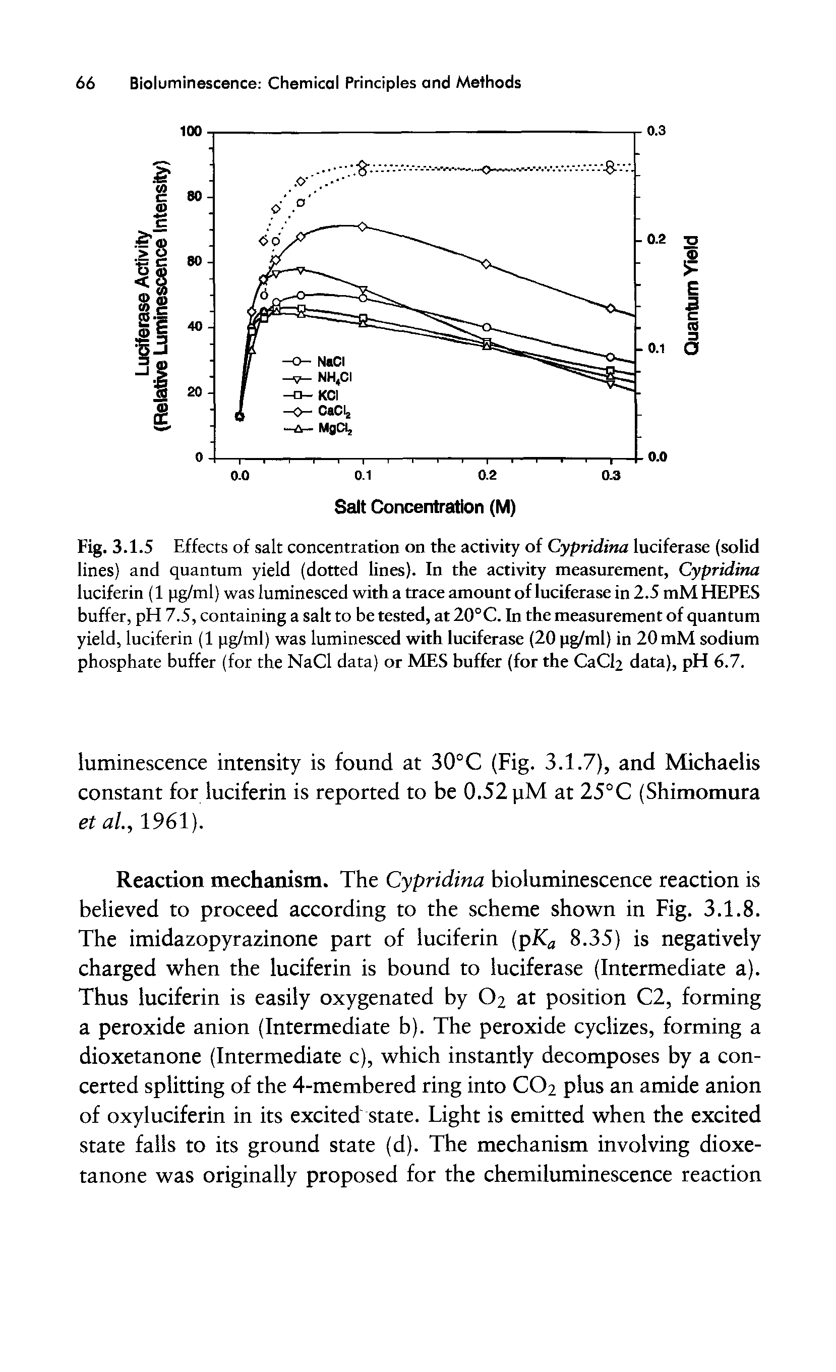 Fig. 3.1.5 Effects of salt concentration on the activity of Cypridina luciferase (solid lines) and quantum yield (dotted lines). In the activity measurement, Cypridina luciferin (1 pg/ml) was luminesced with a trace amount of luciferase in 2.5 mM HEPES buffer, pH 7.5, containing a salt to be tested, at 20°C. In the measurement of quantum yield, luciferin (1 pg/ml) was luminesced with luciferase (20 pg/ml) in 20 mM sodium phosphate buffer (for the NaCl data) or MES buffer (for the CaCl2 data), pH 6.7.