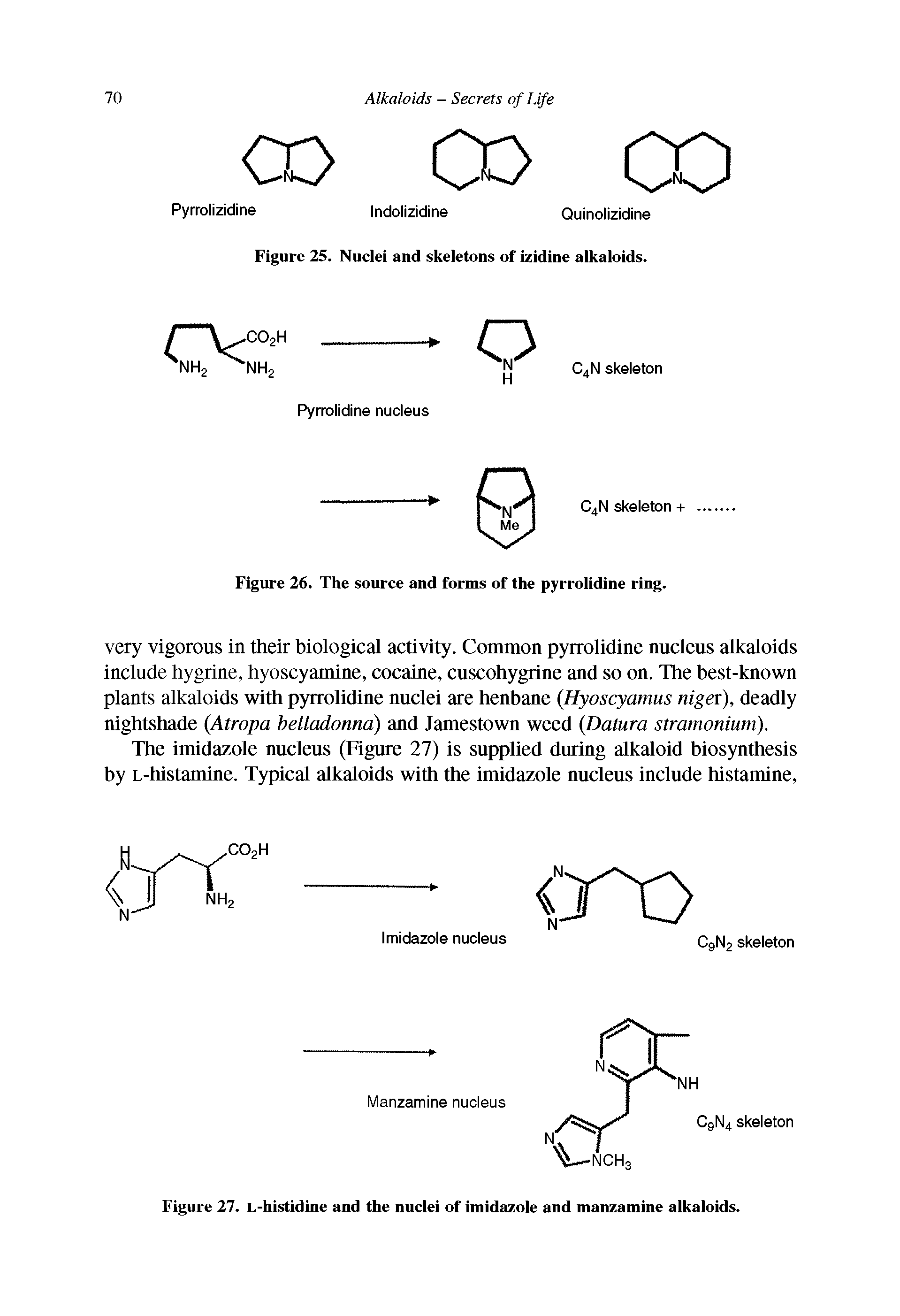 Figure 27. L-histidine and the nuclei of imidazole and manzamine alkaloids.