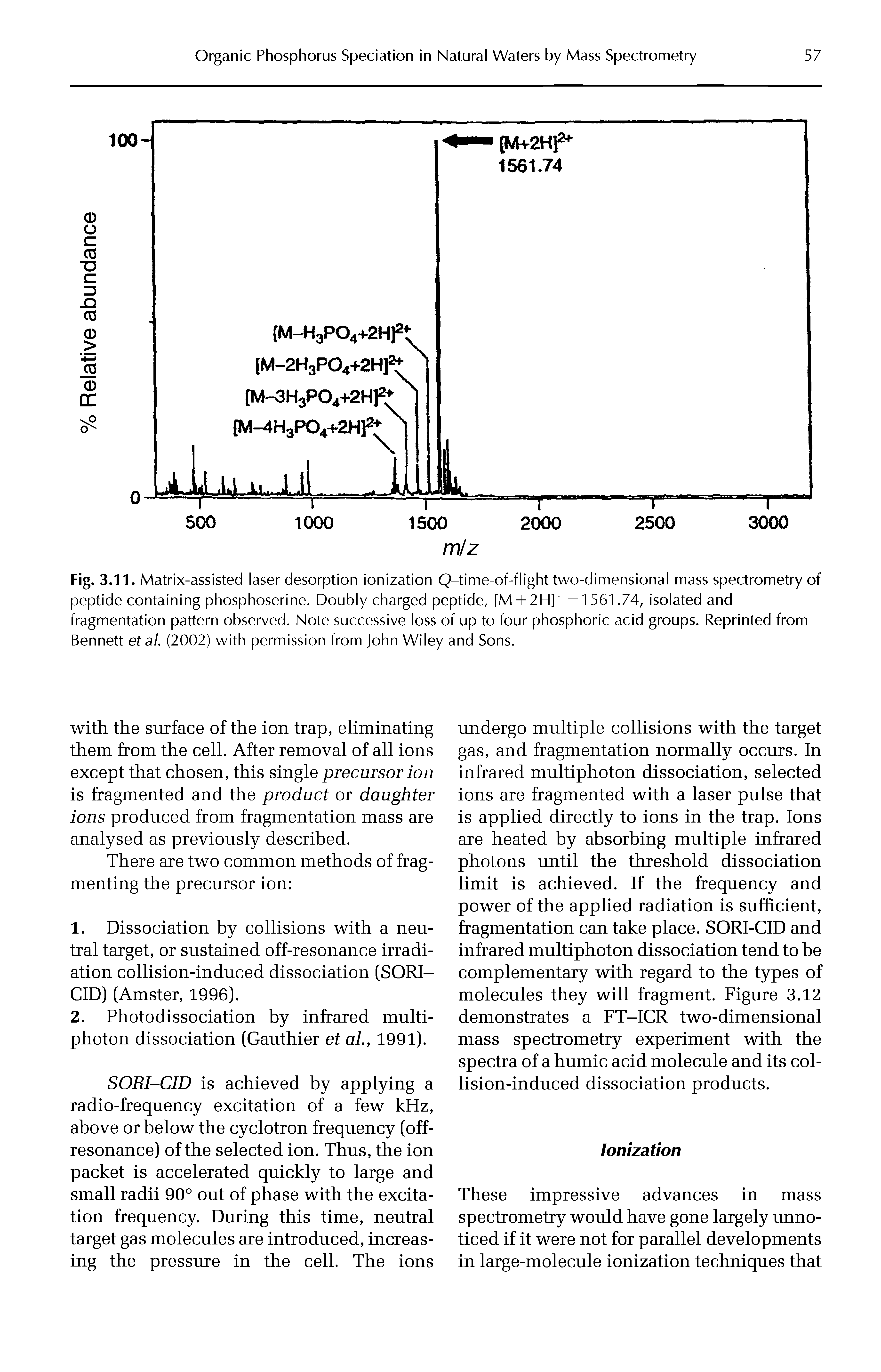 Fig. 3.11. Matrix-assisted laser desorption ionization Q-time-of-flight two-dimensional mass spectrometry of peptide containing phosphoserine. Doubly charged peptide, [M + 2H] += 1561.74, isolated and fragmentation pattern observed. Note successive loss of up to four phosphoric acid groups. Reprinted from Bennett et al. (2002) with permission from John Wiley and Sons.