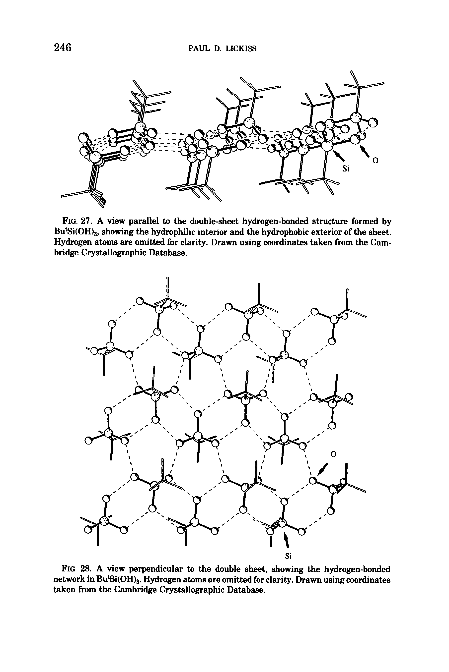 Fig. 27. A view parallel to the double-sheet hydrogen-bonded structure formed by BulSi(OH)3, showing the hydrophilic interior and the hydrophobic exterior of the sheet. Hydrogen atoms are omitted for clarity. Drawn using coordinates taken from the Cambridge Crystallographic Database.