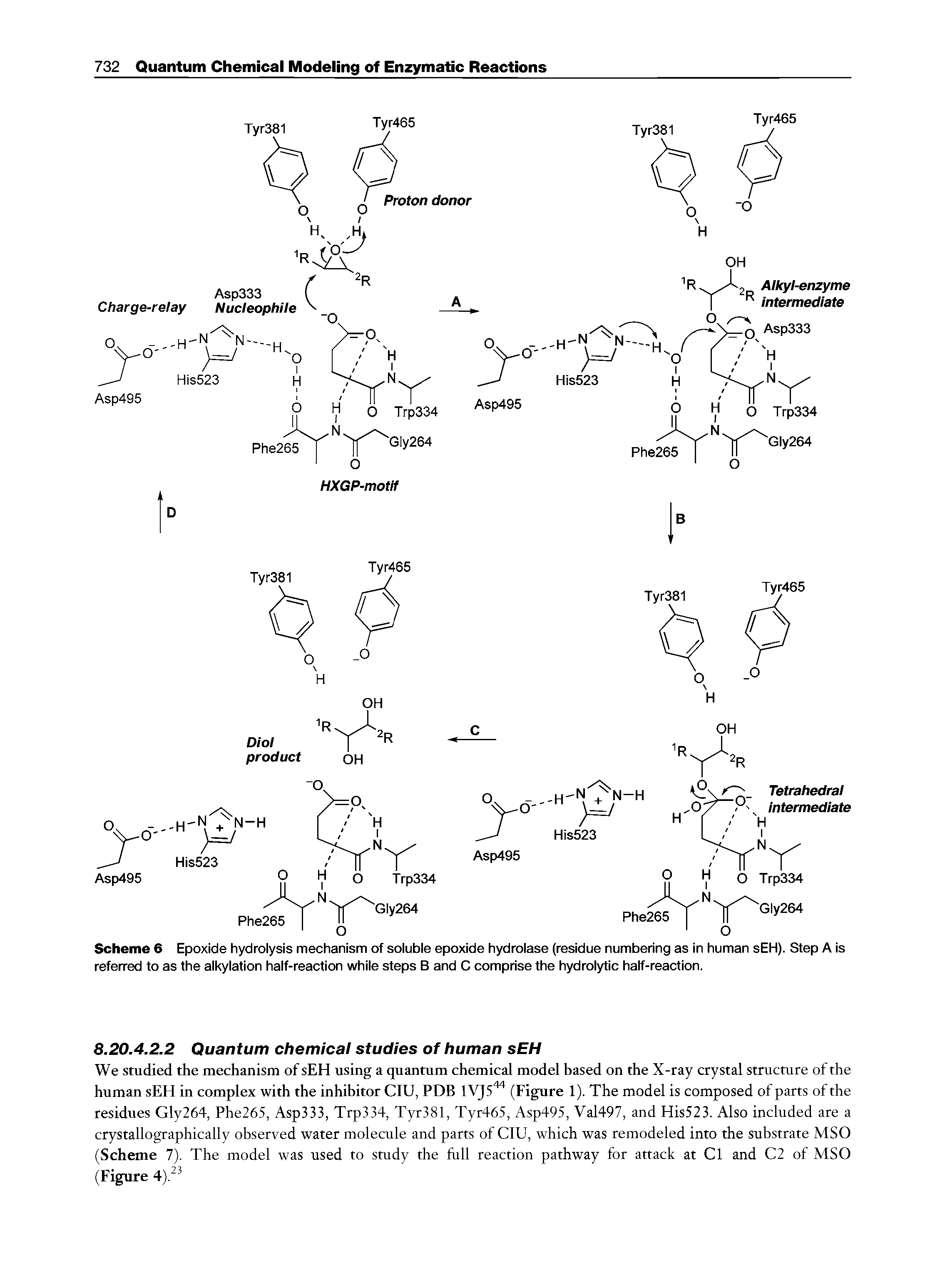 Scheme 6 Epoxide hydrolysis mechanism of soluble epoxide hydrolase (residue numbering as in human sEH). Step A is referred to as the alkylation half-reaction while steps B and C comprise the hydrolytic half-reaction.