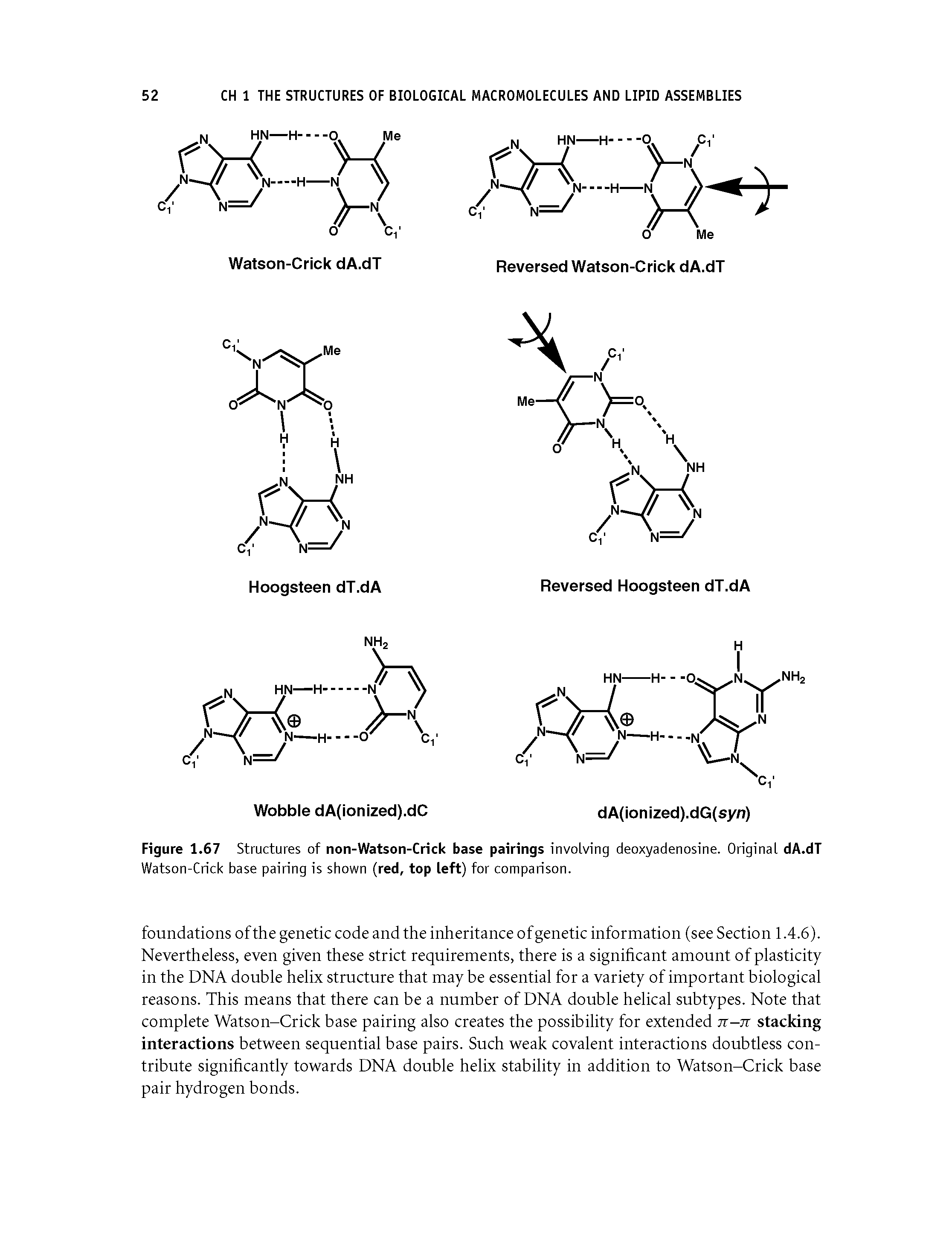 Figure 1.67 Structures of non-Watson-Crick base pairings involving deoxyadenosine. Original dA.dT Watson-Crick base pairing is shown (red, top left) for comparison.