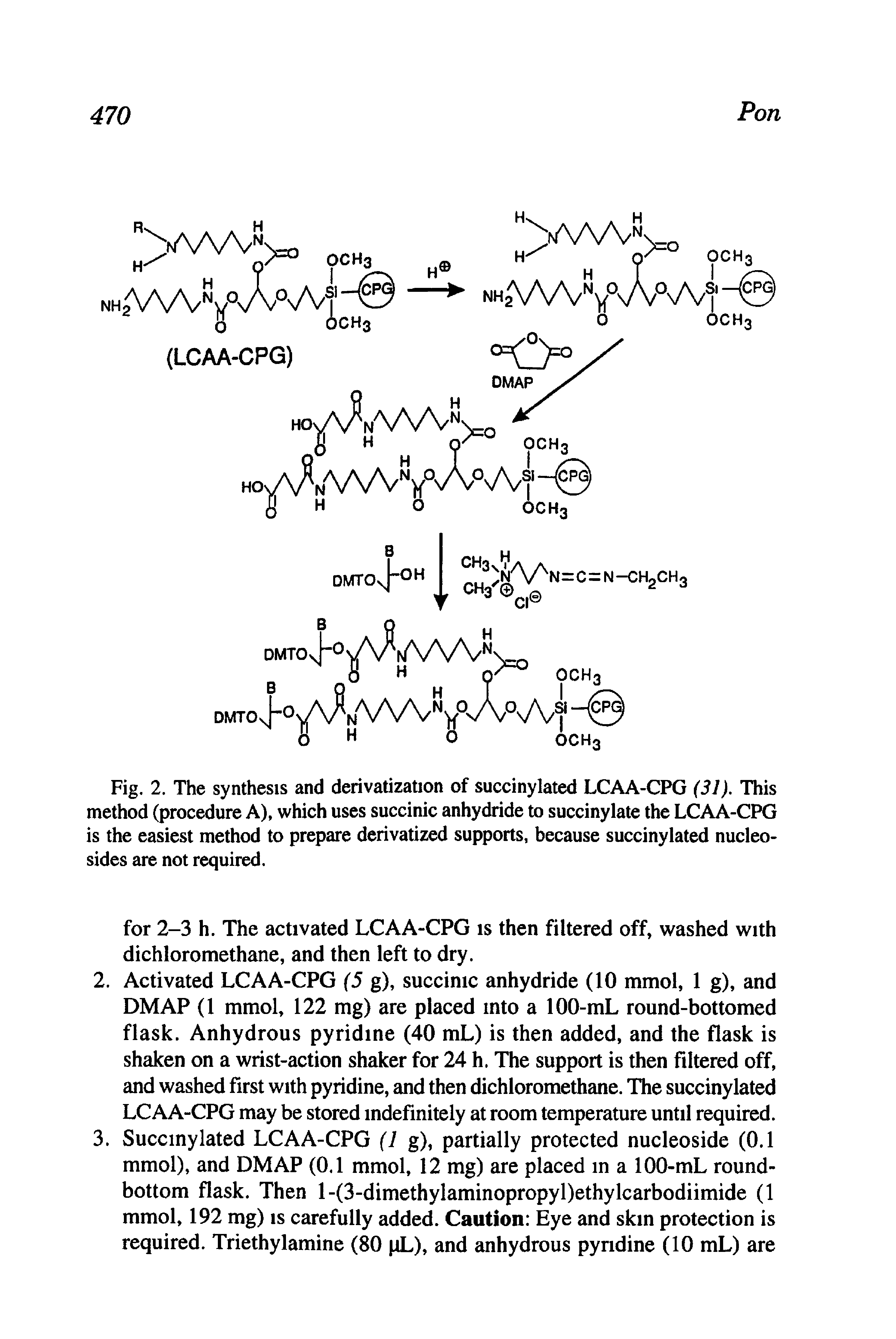 Fig. 2. The synthesis and derivatization of succinylated LCAA-CPG (31). This method (procedure A), which uses succinic anhydride to succinylate the LCAA-CPG is the easiest method to prepare derivatized supports, because succinylated nucleosides are not required.