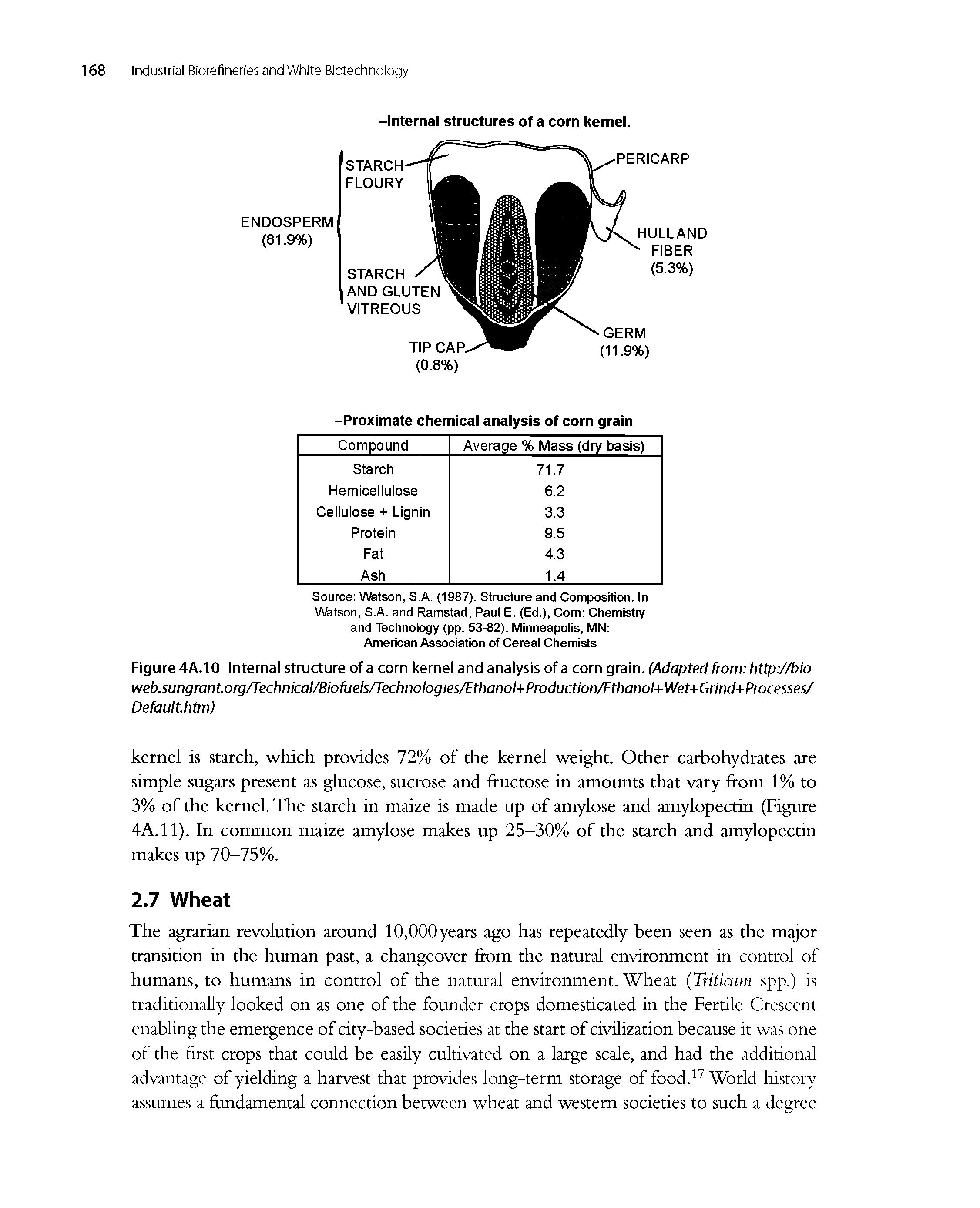 Figure 4A.10 Internal structure of a corn kernel and analysis of a corn grain. (Adapted from http //bio web-sungrantorg/Technical/Biofuels/rechnologies/Ethanol+Production/Ethanol+Wet+Grind+Processes/ Default.htm)...