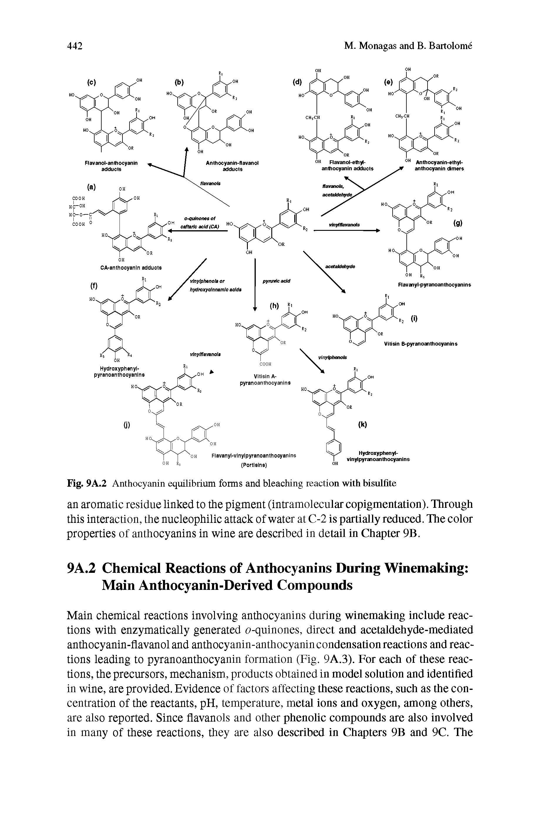 Fig. 9A.2 Anthocyanin equilibrium forms and bleaching reaction with bisulfite...