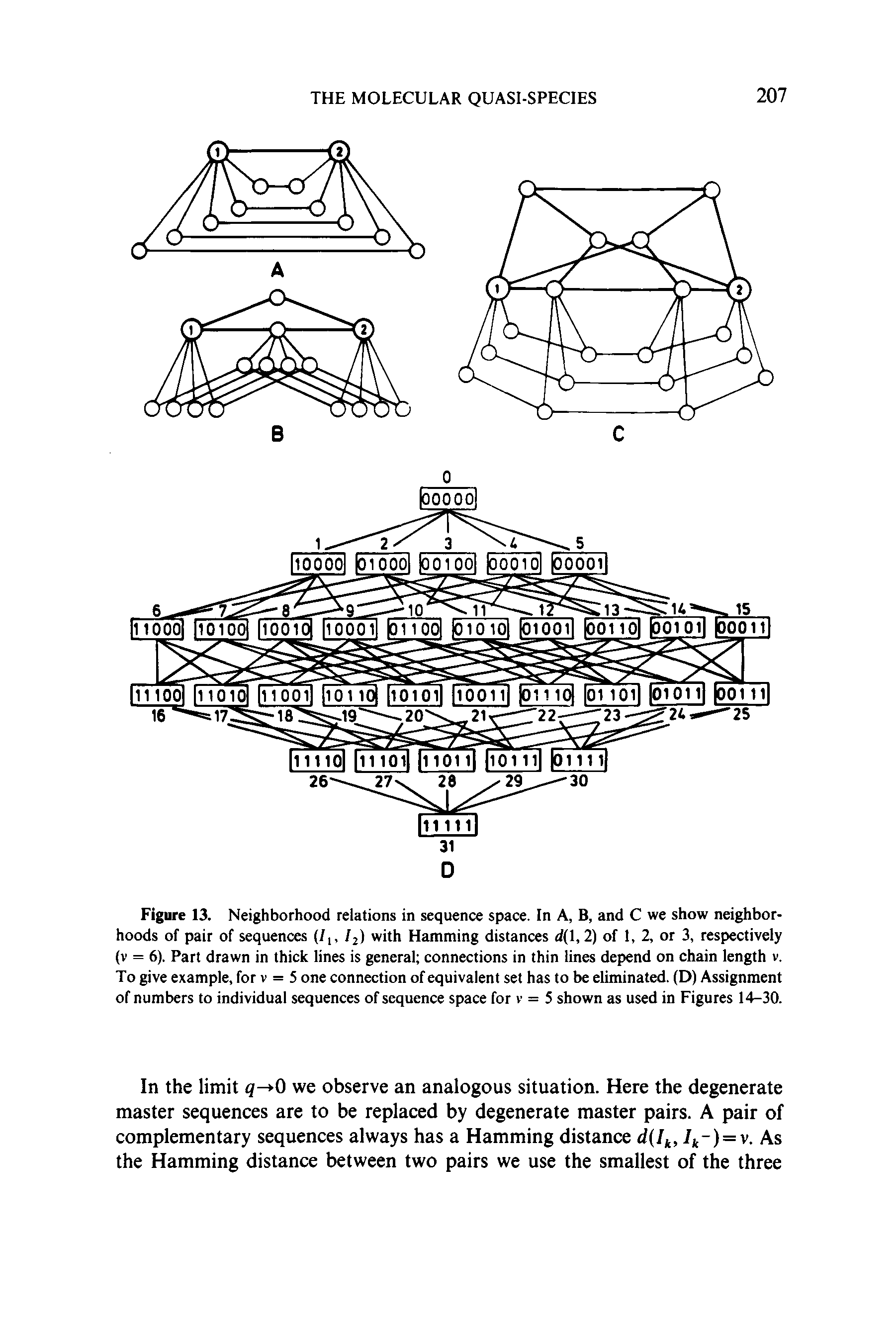 Figure 13. Neighborhood relations in sequence space. In A, B, and C we show neighborhoods of pair of sequences (/[, 12) with Hamming distances d(l, 2) of 1, 2, or 3, respectively (v = 6). Part drawn in thick lines is general connections in thin lines depend on chain length v. To give example, for v = 5 one connection of equivalent set has to be eliminated. (D) Assignment of numbers to individual sequences of sequence space for v = 5 shown as used in Figures 14-30.
