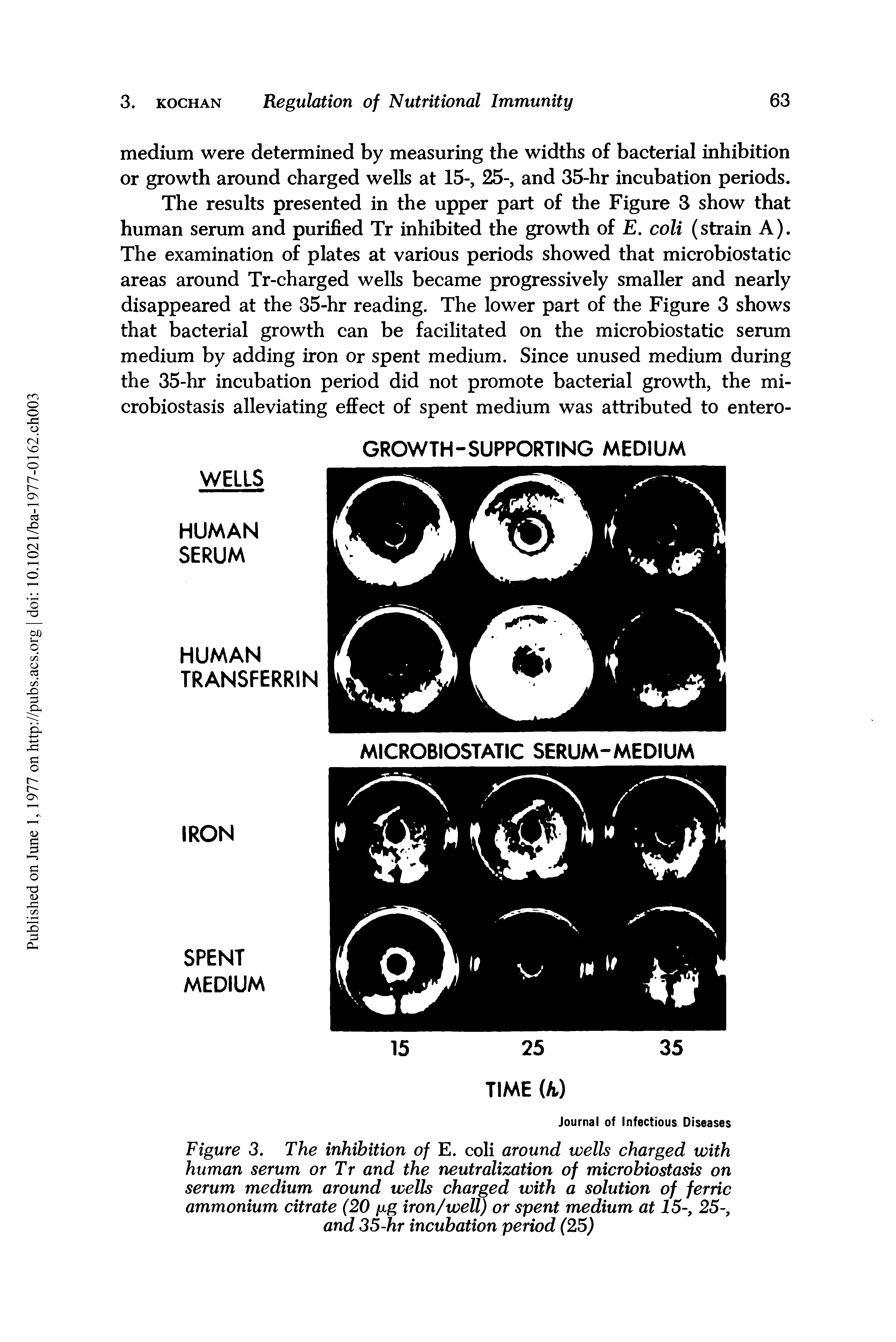 Figure 3. The inhibition of E. coli around wells charged with human serum or Tr and the neutralization of microbiostasis on serum medium around wells charged with a solution of ferric ammonium citrate (20 i g iron/well) or spent medium at 15-, 25-, and 35-hr incubation period (25)...