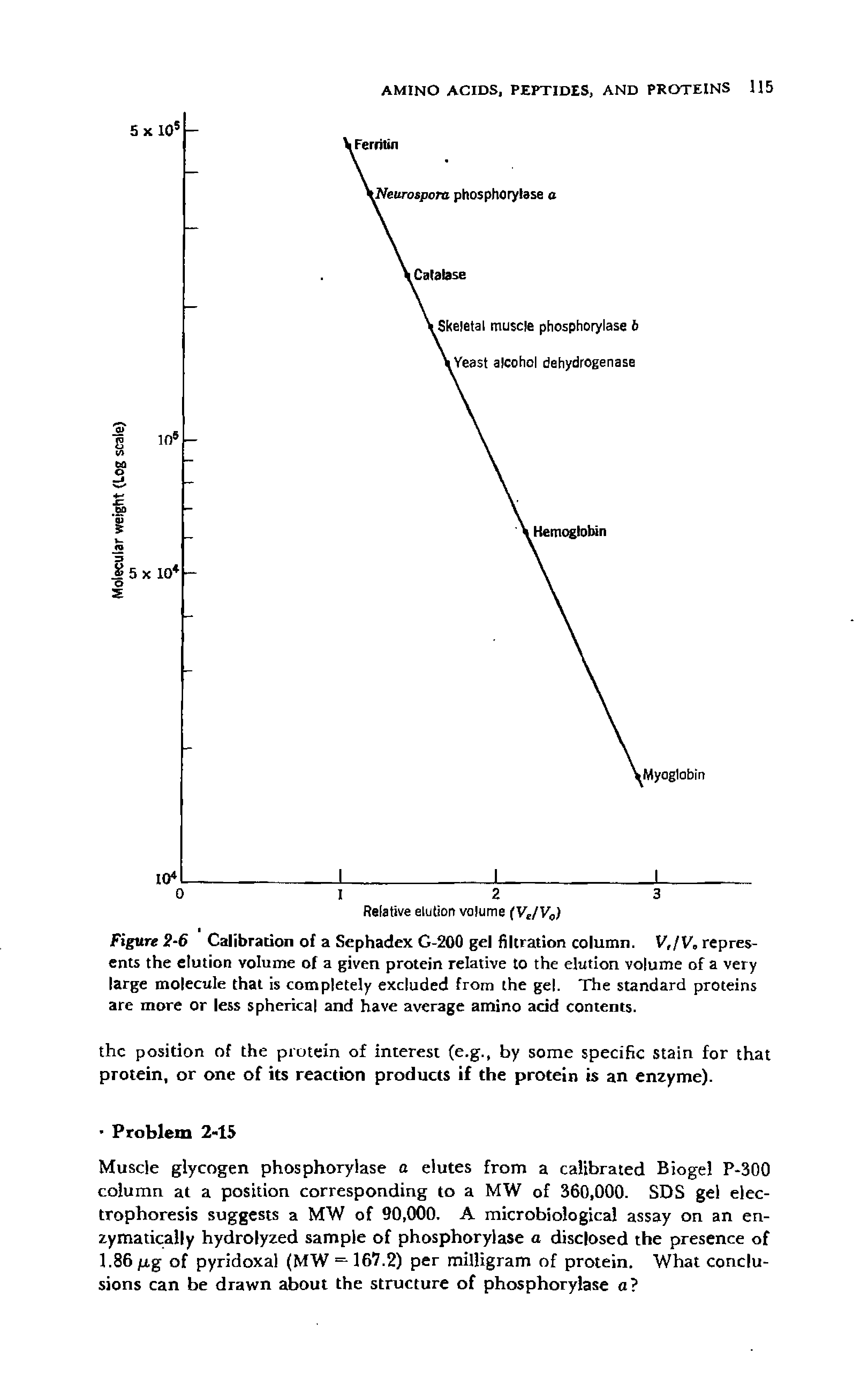 Figure 2-6 Calibration of a Sephadex G-200 gel filtration column. V,/V, represents the elution volume of a given protein relative to the elution volume of a very large molecule that is completely excluded from the gel. The standard proteins are more or less spherical and have average amino acid contents.