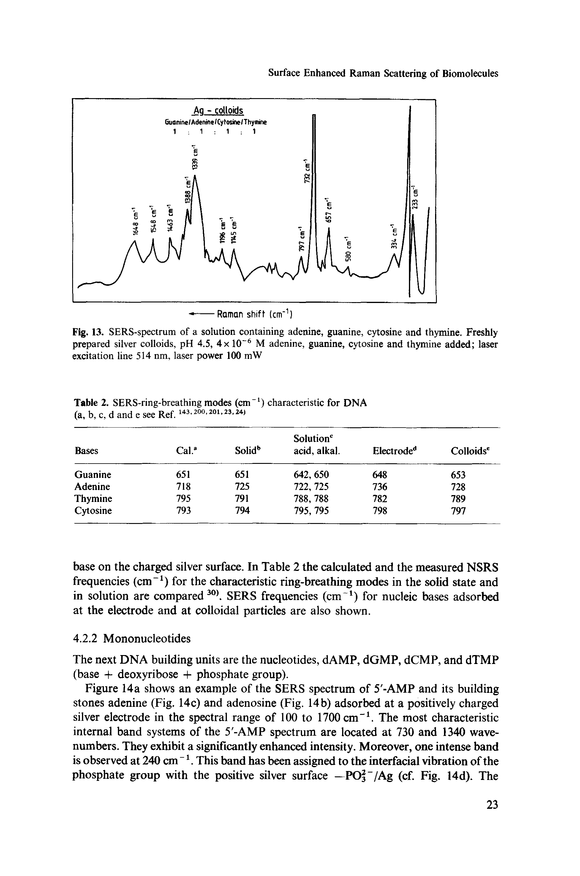 Figure 14a shows an example of the SERS spectrum of 5 -AMP and its building stones adenine (Fig. 14c) and adenosine (Fig. 14b) adsorbed at a positively charged silver electrode in the spectral range of 100 to 1700 cm". The most characteristic internal band systems of the 5 -AMP spectrum are located at 730 and 1340 wave-numbers. They exhibit a significantly enhanced intensity. Moreover, one intense band is observed at 240 cm " This band has been assigned to the interfacial vibration of the phosphate group with the positive silver surface —POf /Ag (cf. Fig. 14d). The...