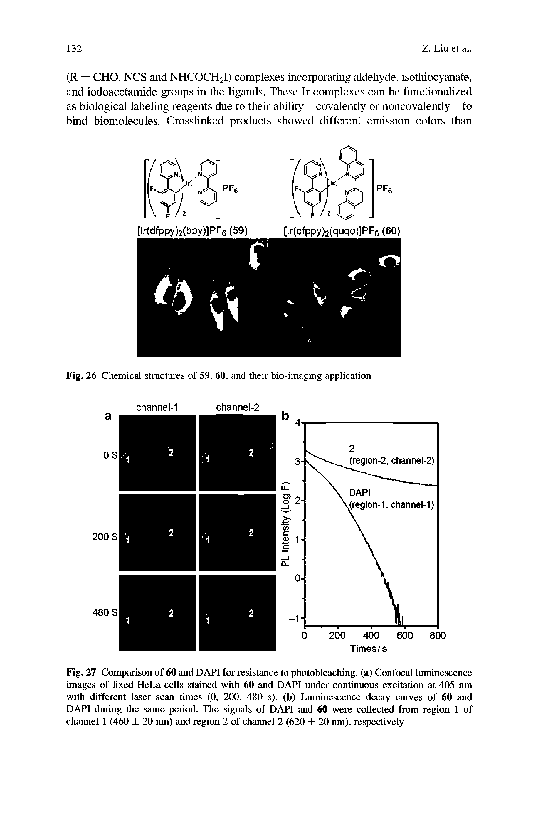 Fig. 27 Comparison of 60 and DAPI for resistance to photobleaching. (a) Confocal luminescence images of fixed HeLa cells stained with 60 and DAPI under continuous excitation at 405 nm with different laser scan times (0, 200, 480 s). (b) Luminescence decay curves of 60 and DAPI during the same period. The signals of DAPI and 60 were collected from region 1 of channel 1 (460 20 nm) and region 2 of channel 2 (620 20 nm), respectively...