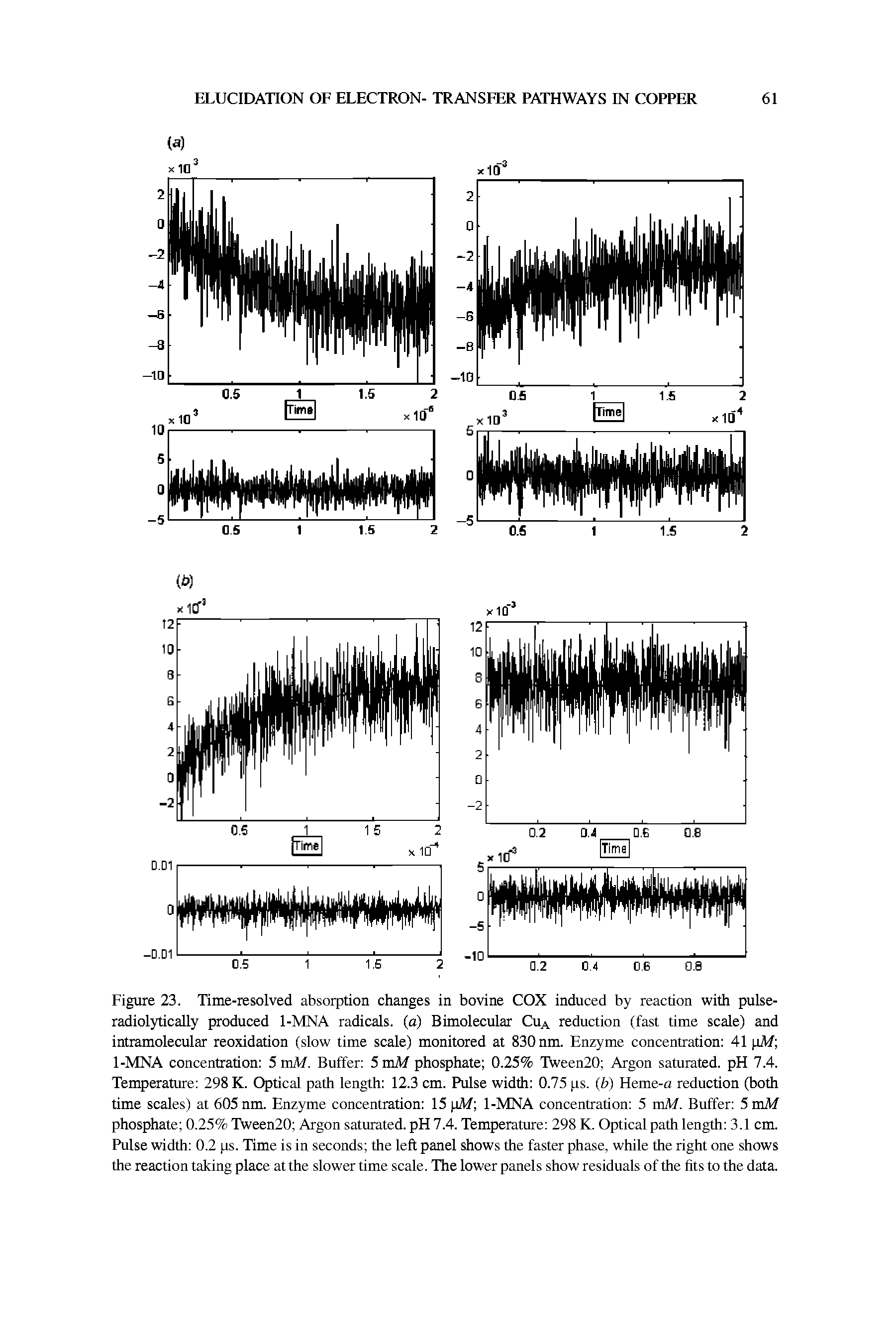 Figure 23. Time-resolved absorption changes in bovine COX induced by reaction with pulse-radioIyticaUy produced 1-MNA radicals, (a) Bimolecular Cua reduction (fast time scale) and intramolecular reoxidation (slow time scale) monitored at 830 nnL Enzyme concentration 41 pM 1-MNA concentration 5 mM. Buffer 5 roM phosphate 0.25% TWeen20 Argon saturated. pH 7.4. Temperature 298 K. Optical path length 12.3 cm. Pulse width 0.75 ps. (b) Heme-a reduction (both time scales) at 605 nno. Enzyme concentration 15 pAf 1-MNA concentration 5 mM. Buffer 5 mM phosphate 0.25% Tween20 Argon saturated. pH 7.4. Temperature 298 K. Optical path length 3.1 cnL Pulse width 0.2 ps. Time is in seconds the left panel shows the faster phase, while the right one shows the reaction taking place at the slower time scale. The lower panels show residuals of the fits to the data.