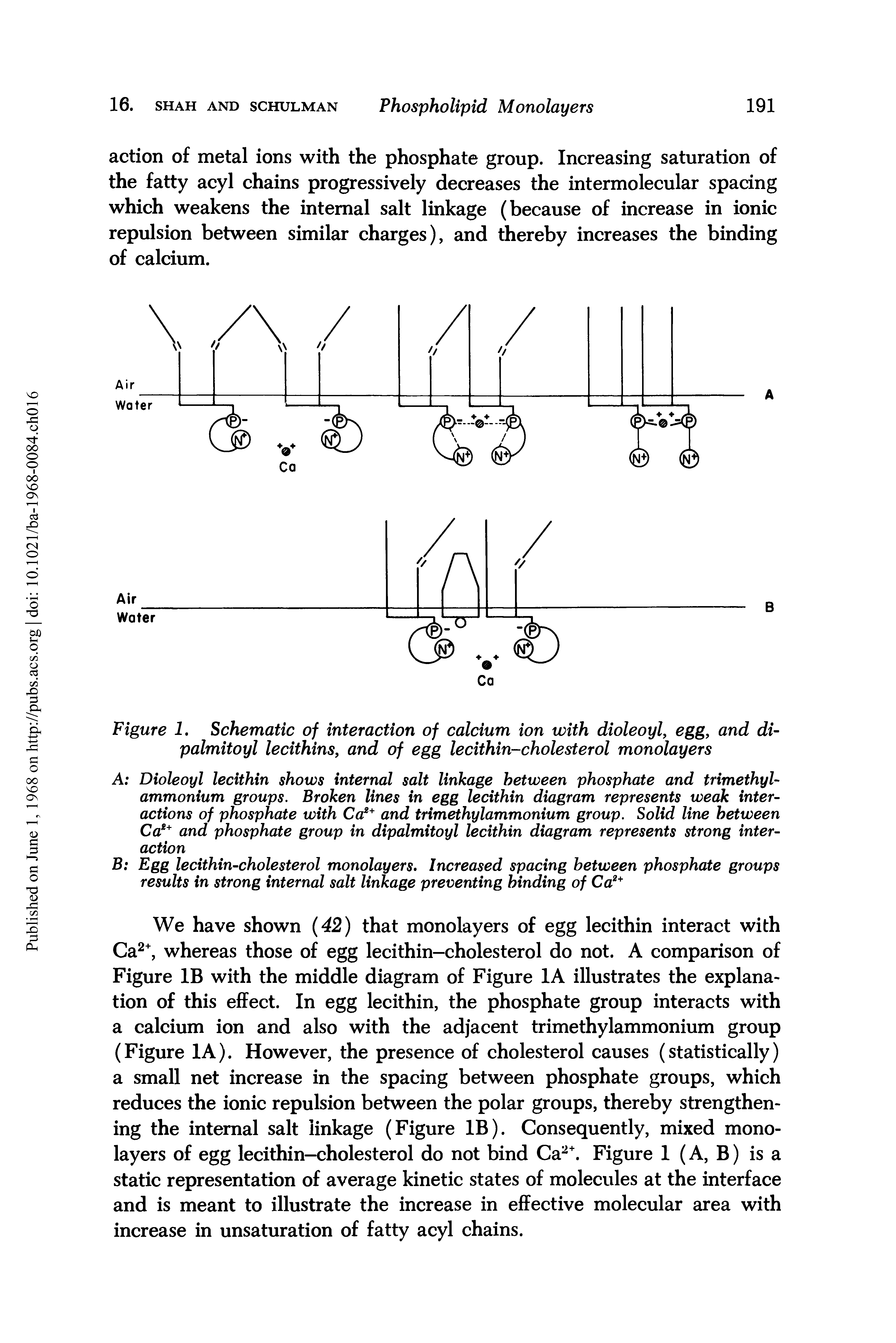 Figure I. Schematic of interaction of calcium ion with dioleoyl, egg, and di-palmitoyl lecithins, and of egg lecithin-cholesterol monolayers...