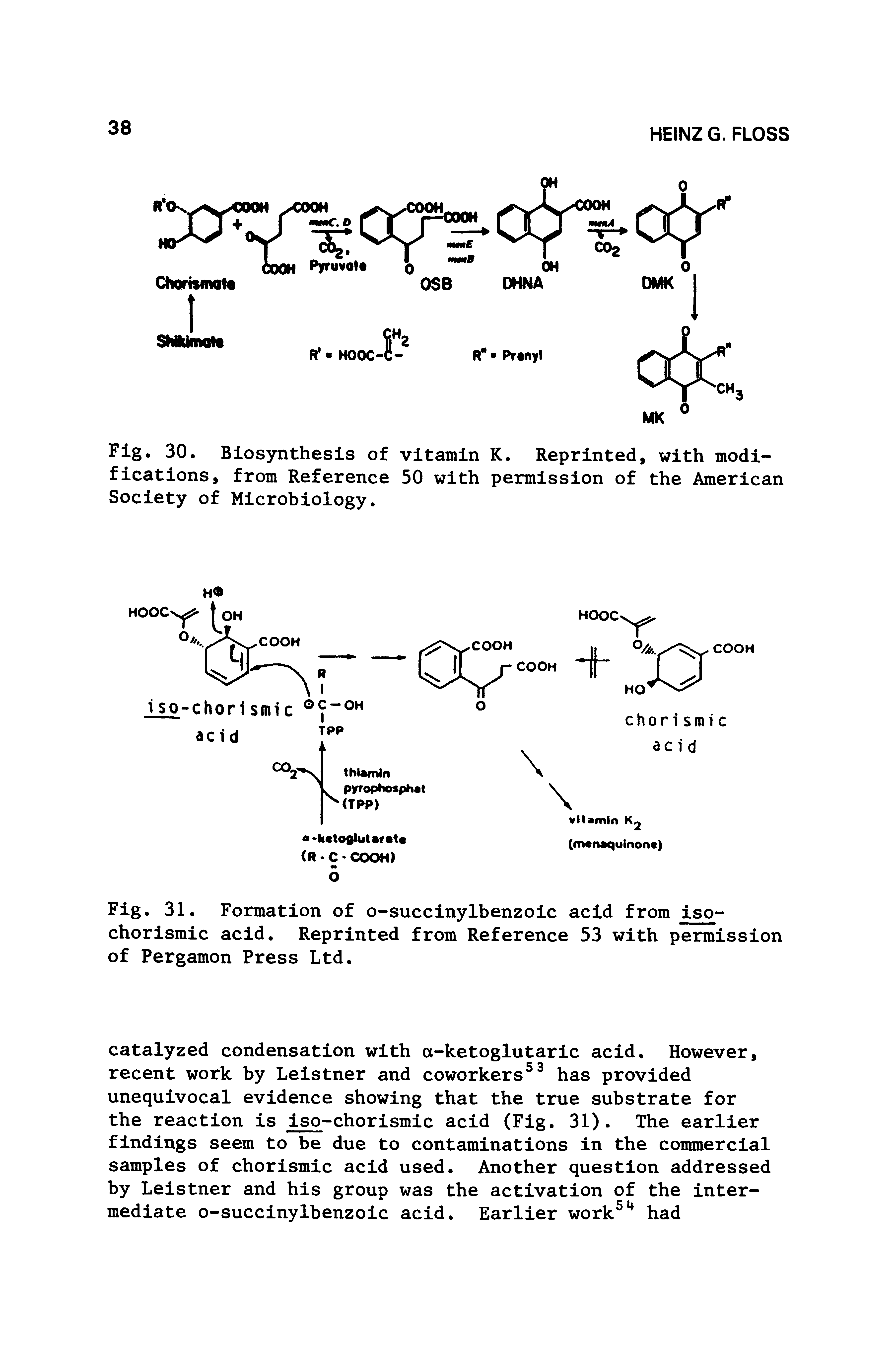 Fig. 31. Formation of o-succinylbenzoic acid from iso-chorismic acid. Reprinted from Reference 53 with permission of Pergamon Press Ltd.