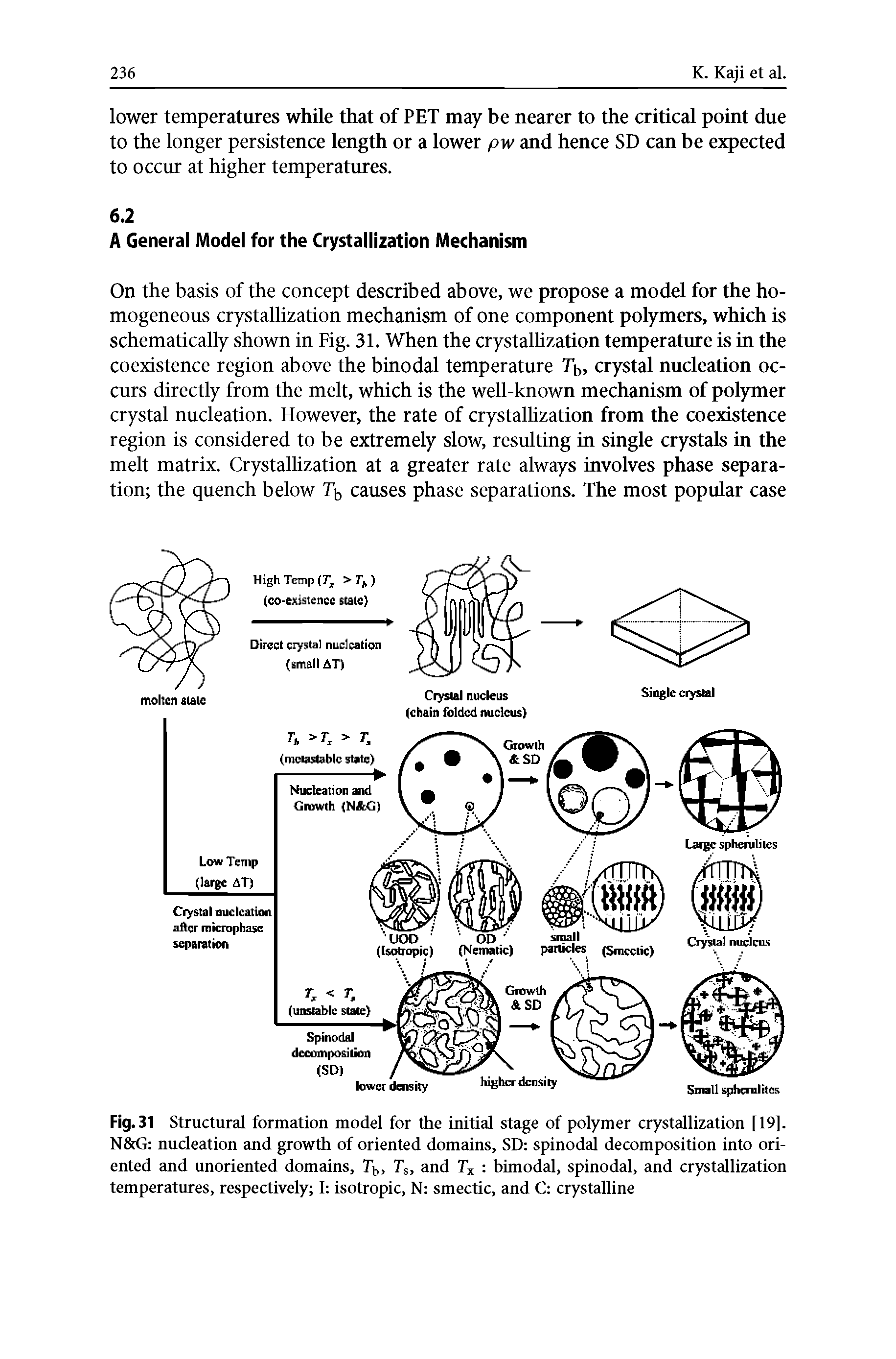 Fig. 31 Structural formation model for the initial stage of polymer crystallization [19], N G nucleation and growth of oriented domains, SD spinodal decomposition into oriented and unoriented domains, Tb, Ts, and Tx bimodal, spinodal, and crystallization temperatures, respectively I isotropic, N smectic, and C crystalline...