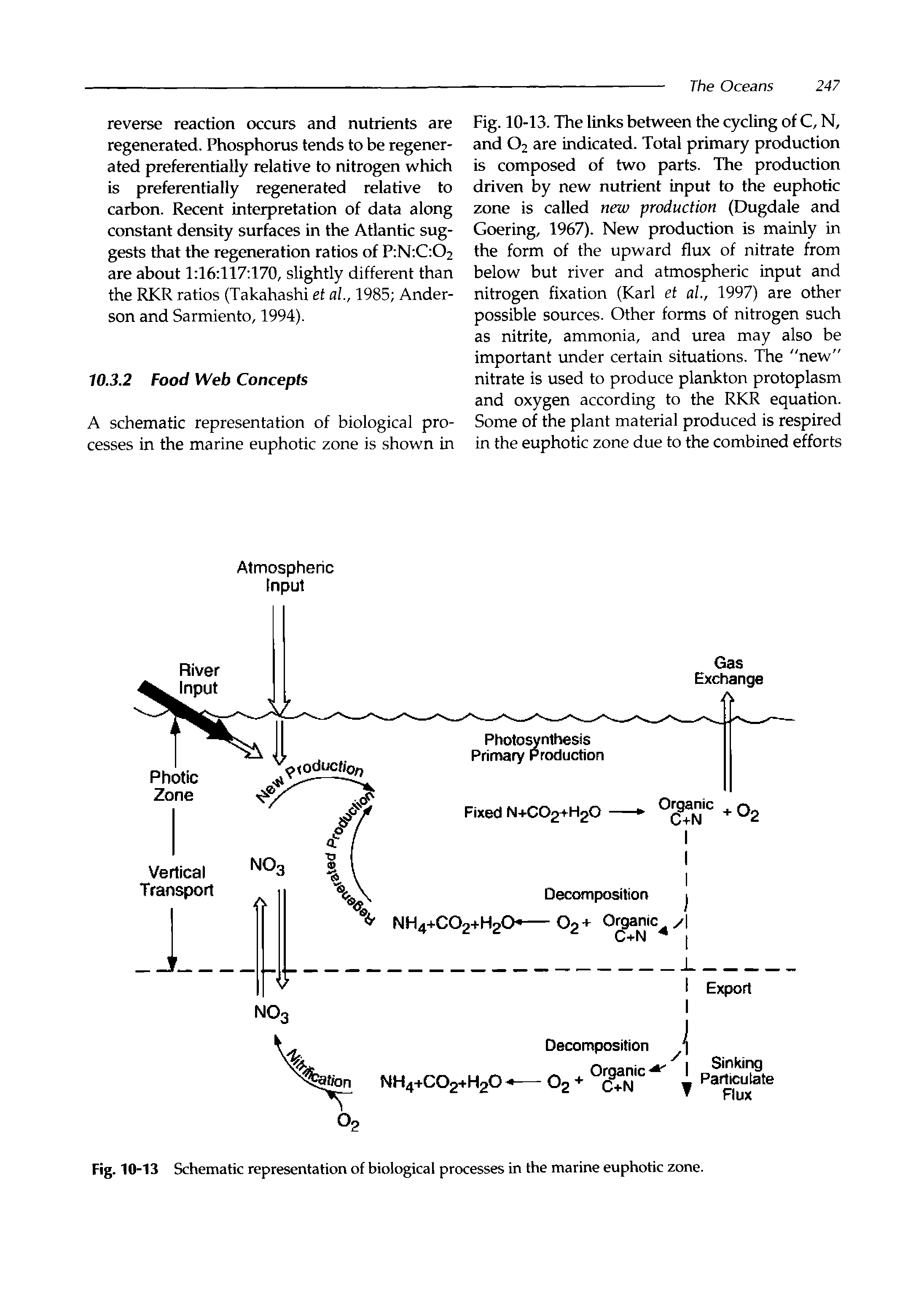 Fig. 10-13. The links between the cycling of C, N, and O2 are indicated. Total primary production is composed of two parts. The production driven by new nutrient input to the euphotic zone is called new production (Dugdale and Goering, 1967). New production is mainly in the form of the upward flux of nitrate from below but river and atmospheric input and nitrogen fixation (Karl et al, 1997) are other possible sources. Other forms of nitrogen such as nitrite, ammonia, and urea may also be important under certain situations. The "new" nitrate is used to produce plankton protoplasm and oxygen according to the RKR equation. Some of the plant material produced is respired in the euphotic zone due to the combined efforts...